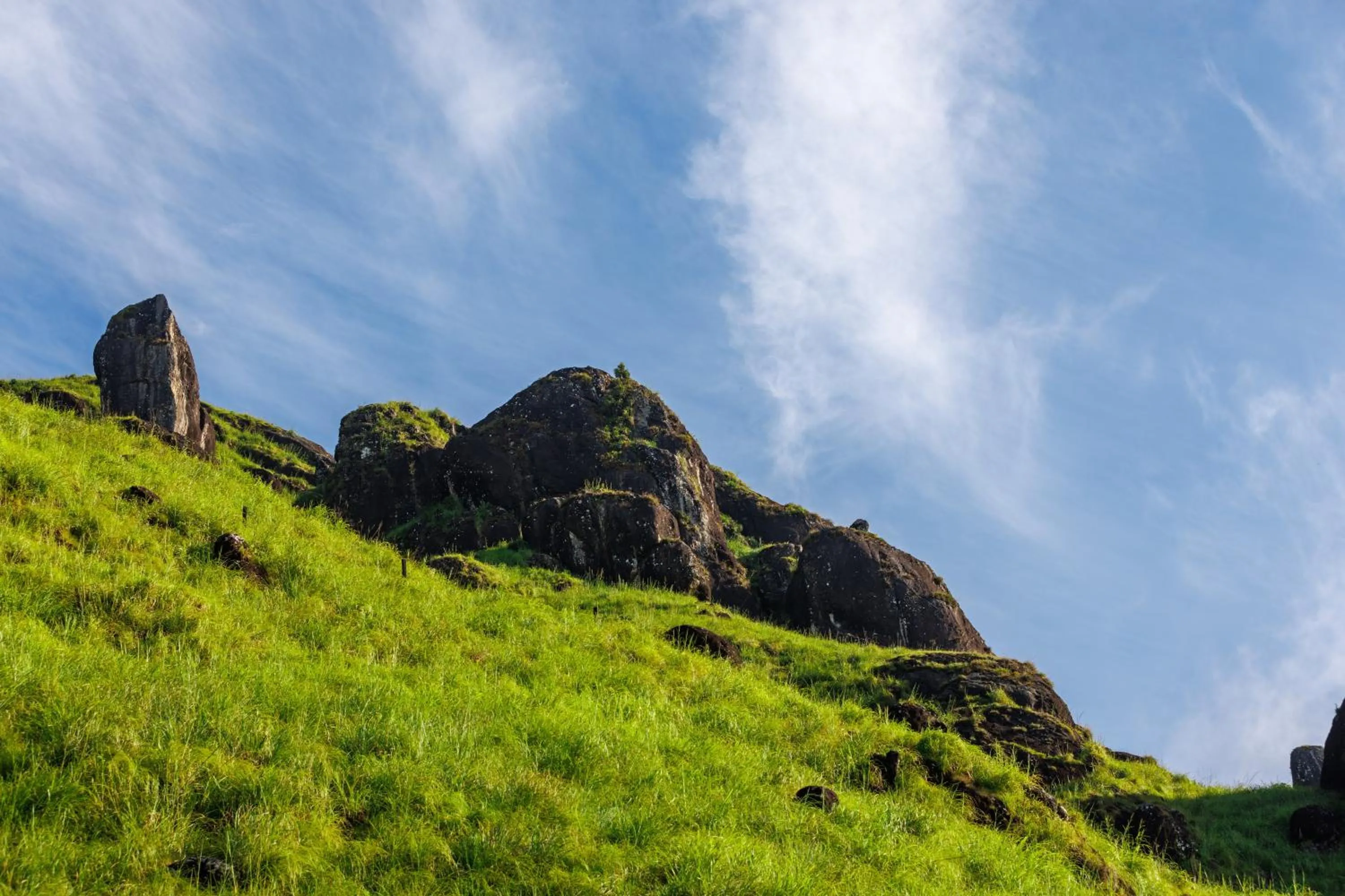 Other in Amber Dale Luxury Hotel & Spa, Munnar