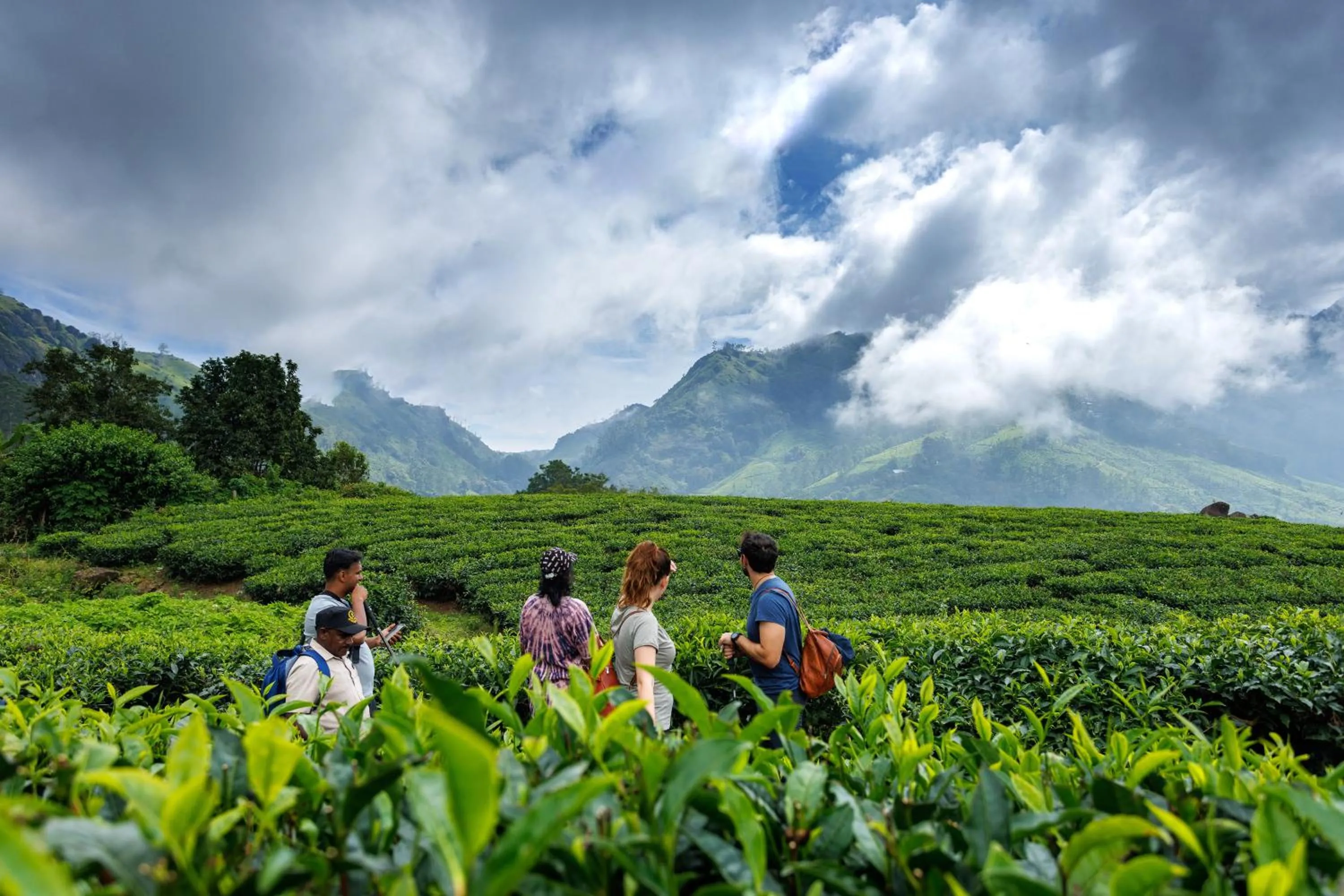 Activities in Amber Dale Luxury Hotel & Spa, Munnar