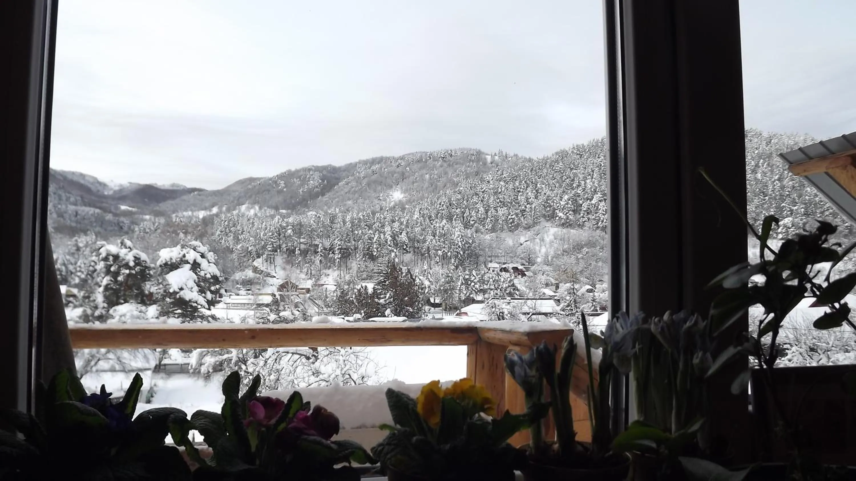 Natural landscape in Casa de Vacanta Neagu