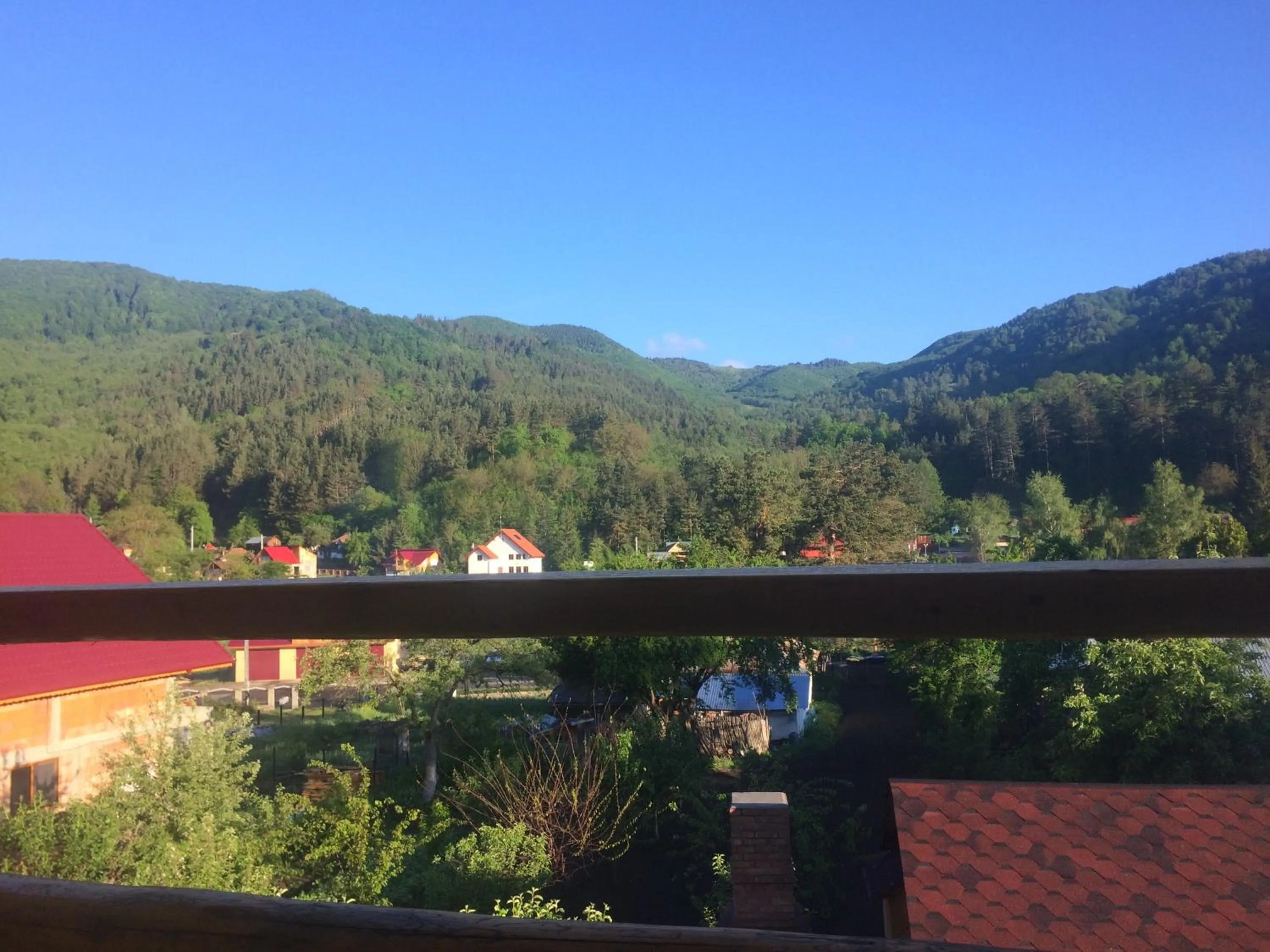 Natural landscape in Casa de Vacanta Neagu