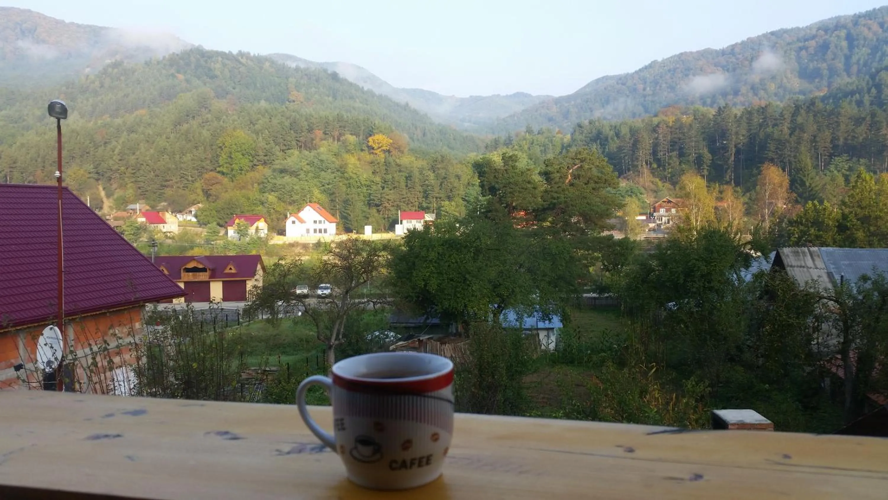 Mountain view in Casa de Vacanta Neagu