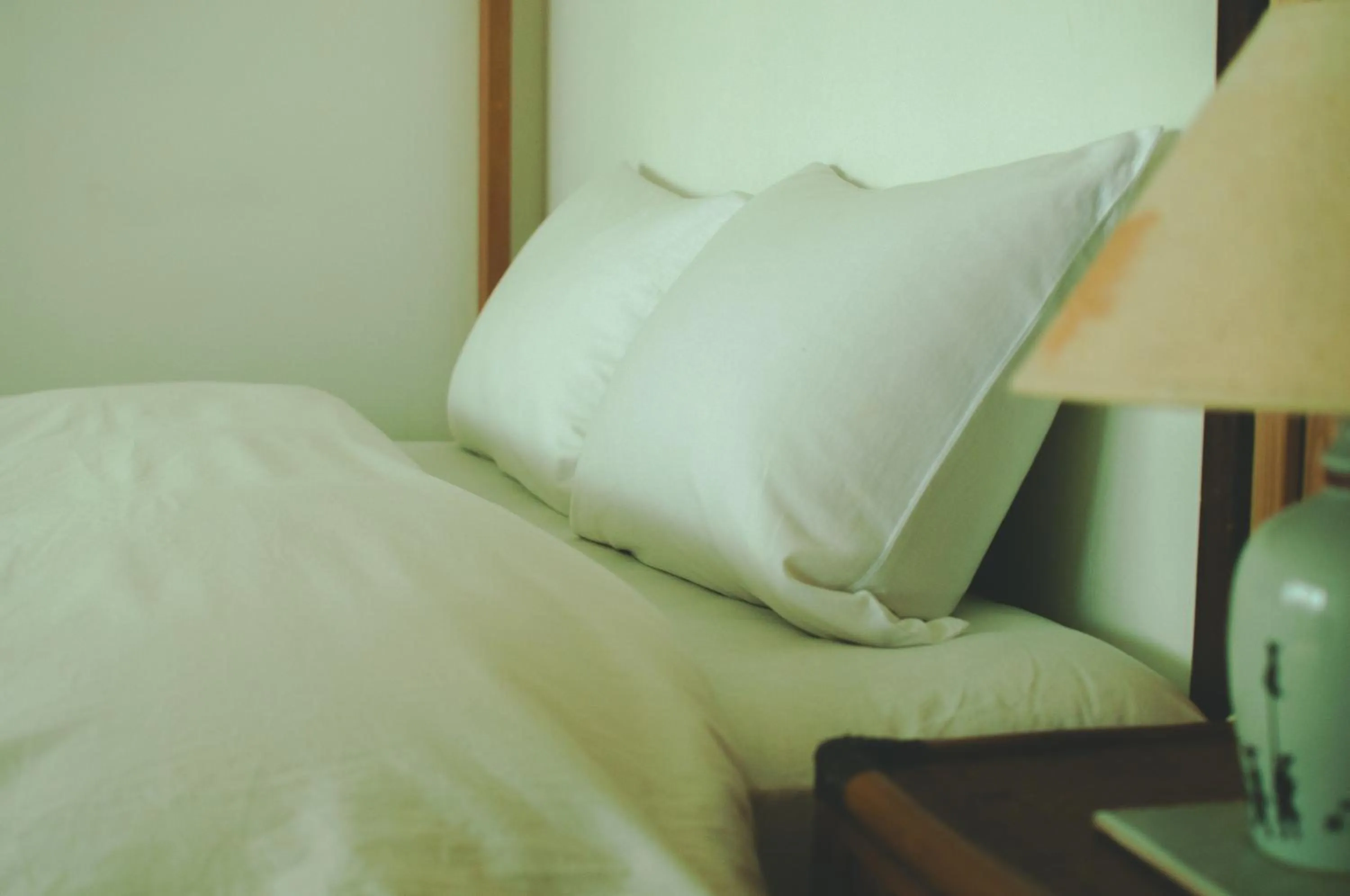 Bed in Hostel Mt. Fuji - FUKUYA