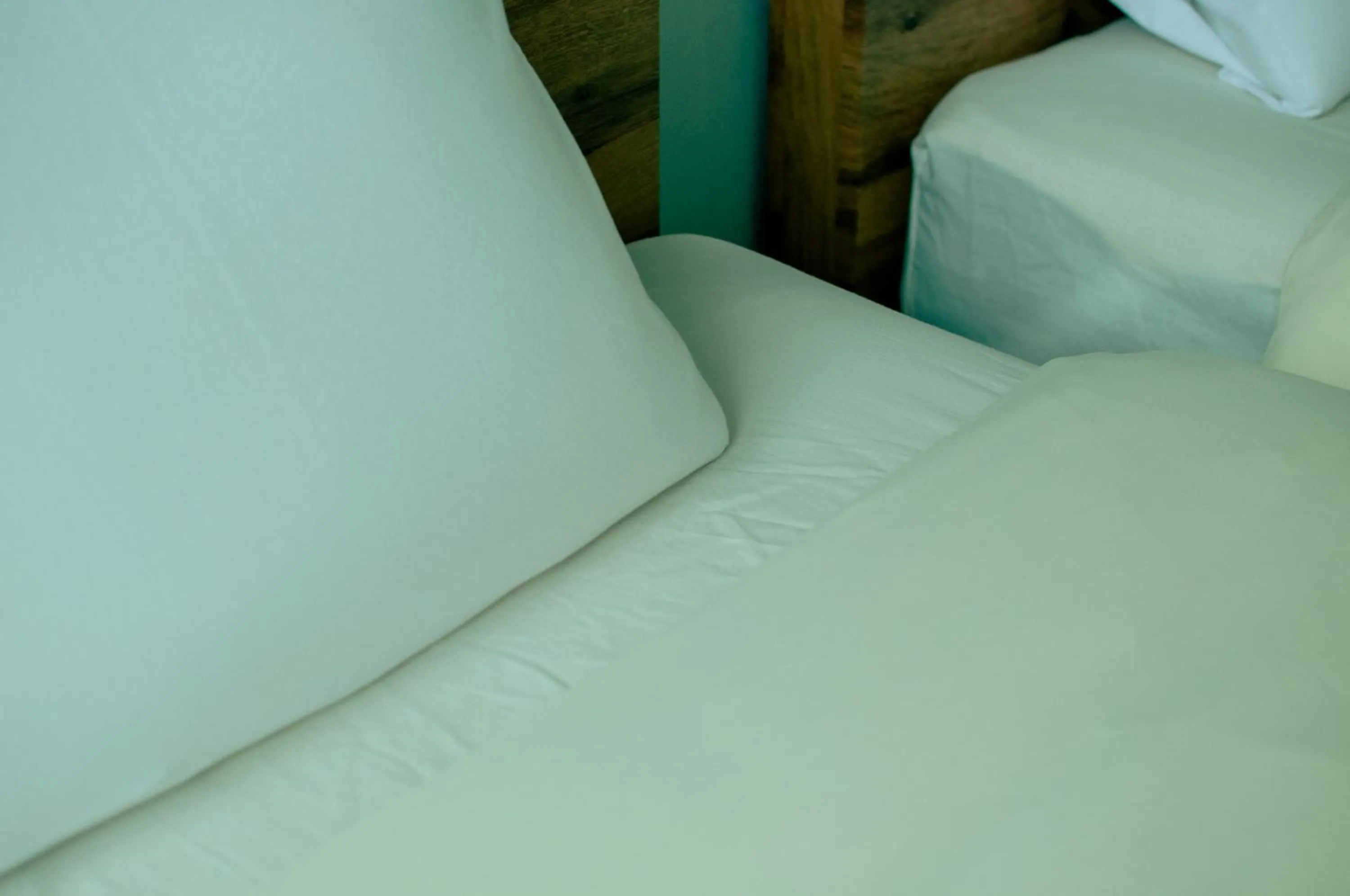 Bed in Hostel Mt. Fuji - FUKUYA