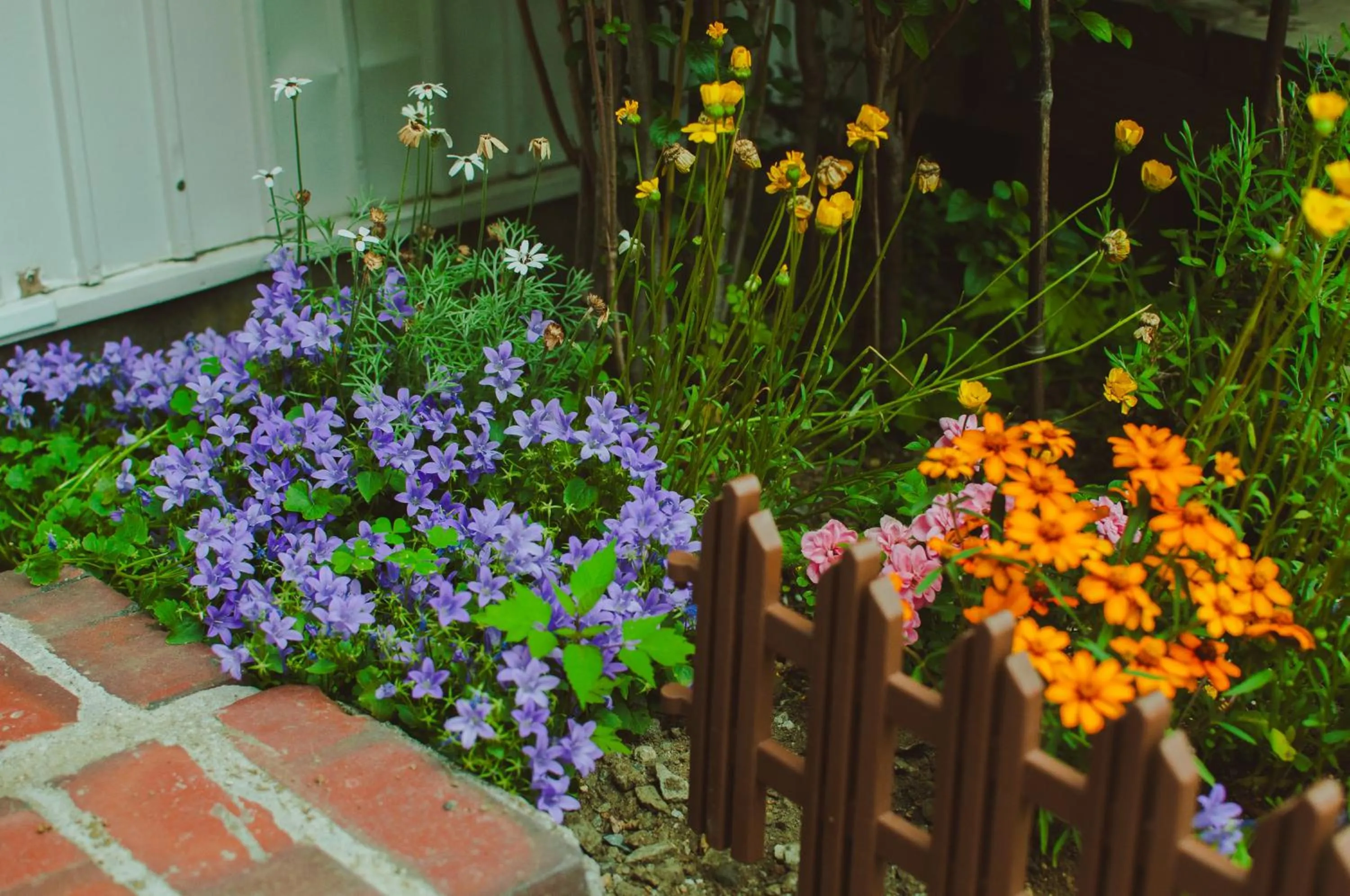 Garden view in Hostel Mt. Fuji - FUKUYA