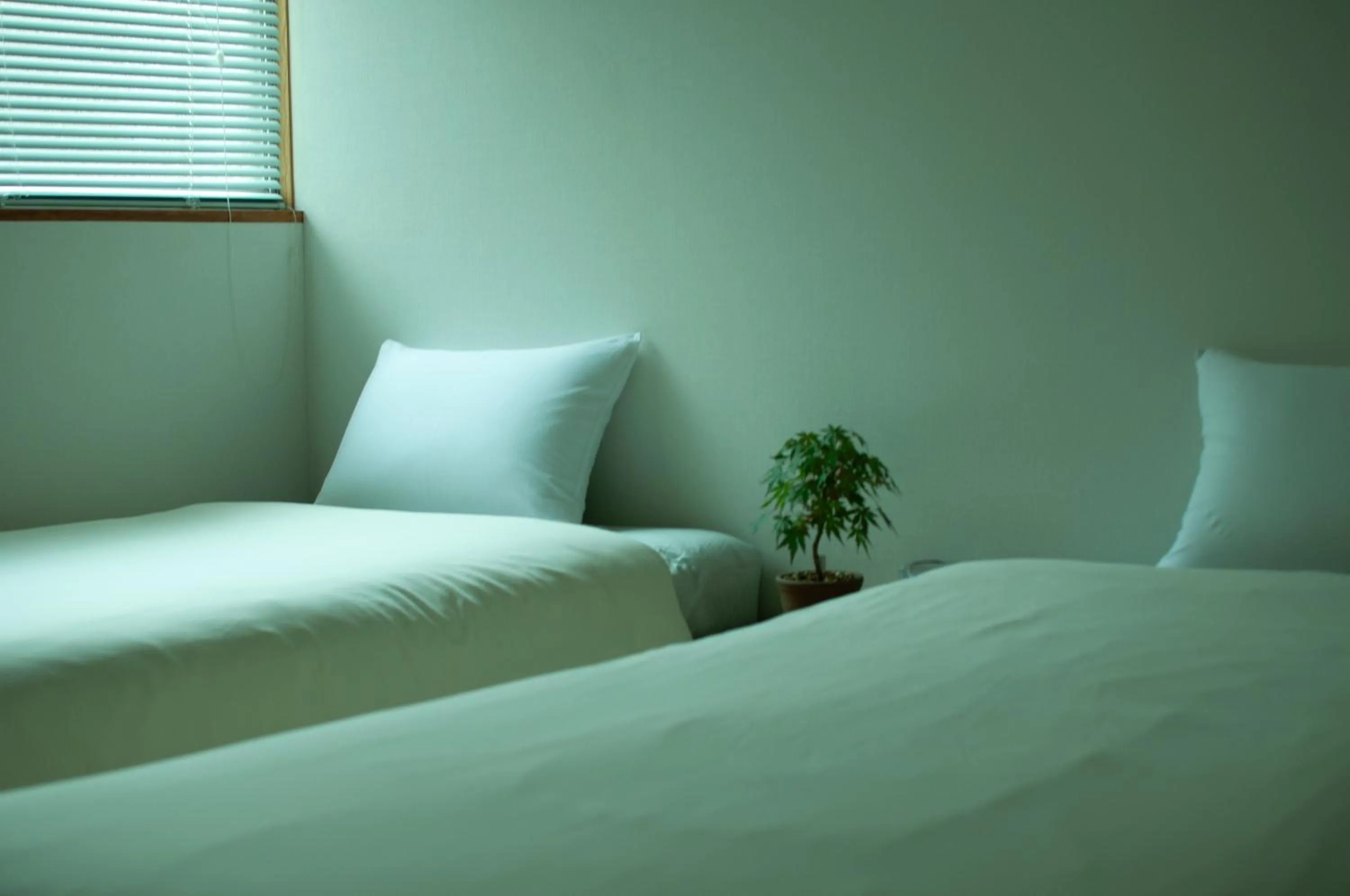 Photo of the whole room, Bed in Hostel Mt. Fuji - FUKUYA