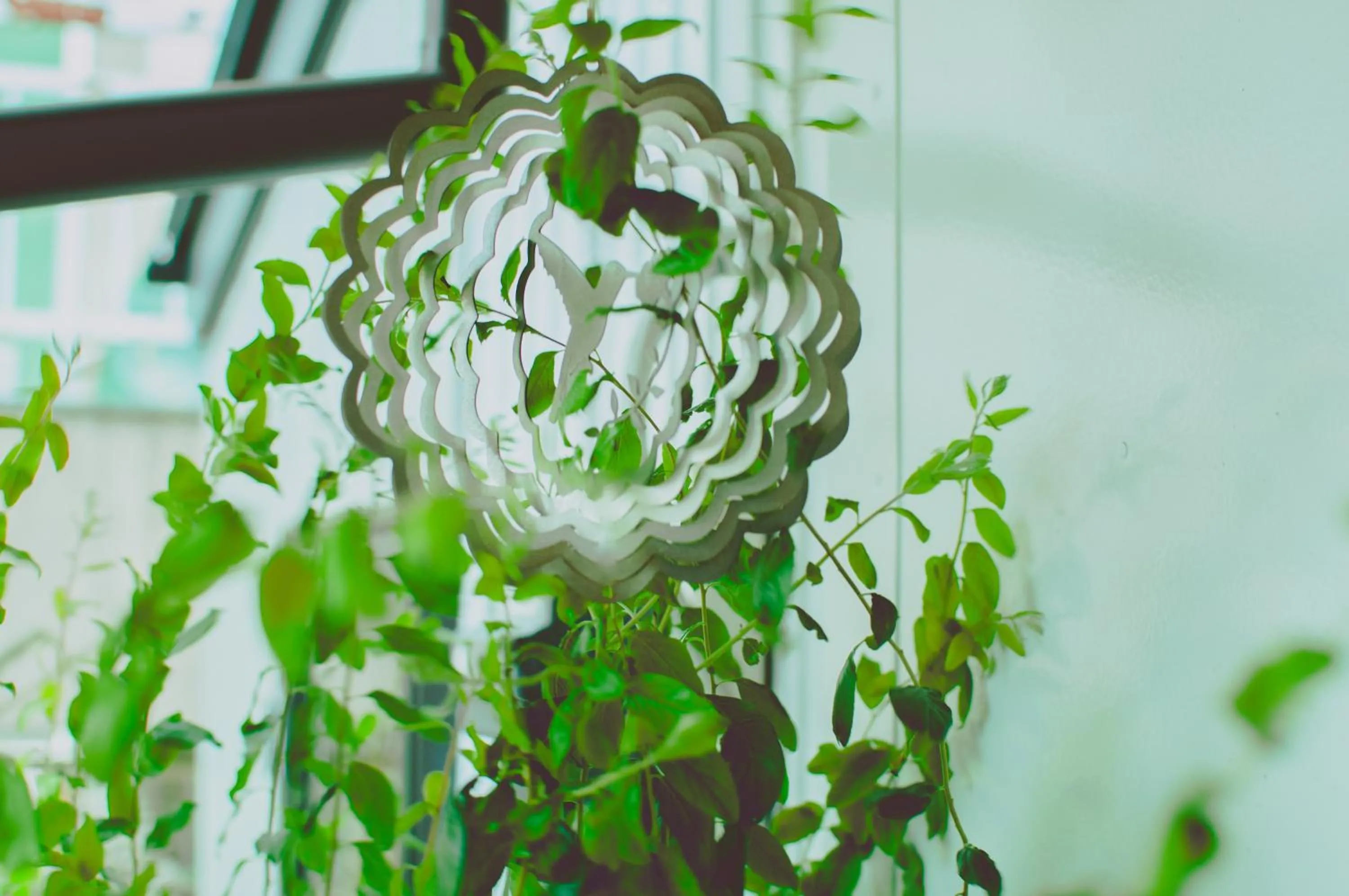 Garden in Hostel Mt. Fuji - FUKUYA