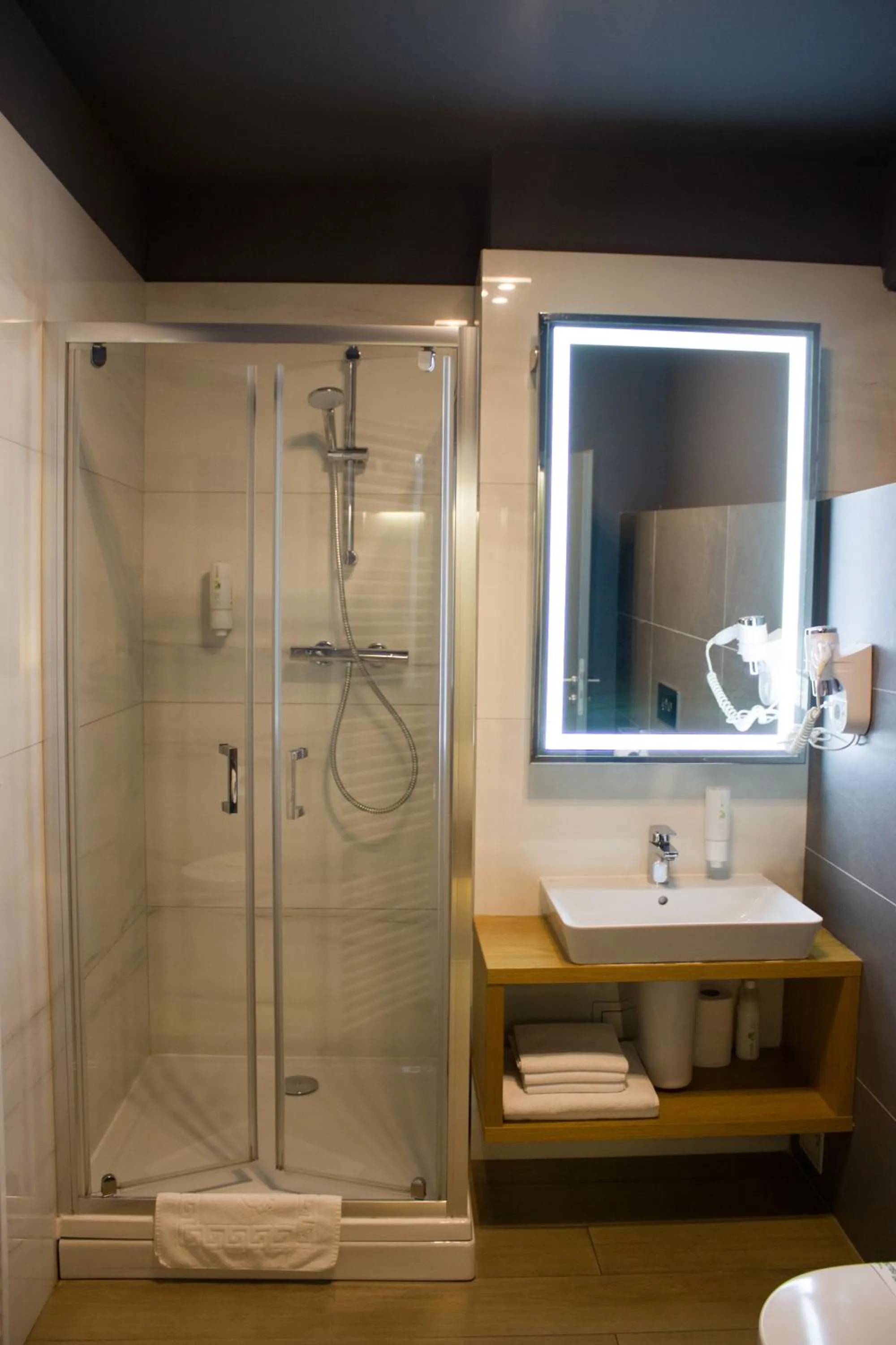 Shower in Hotel Silva