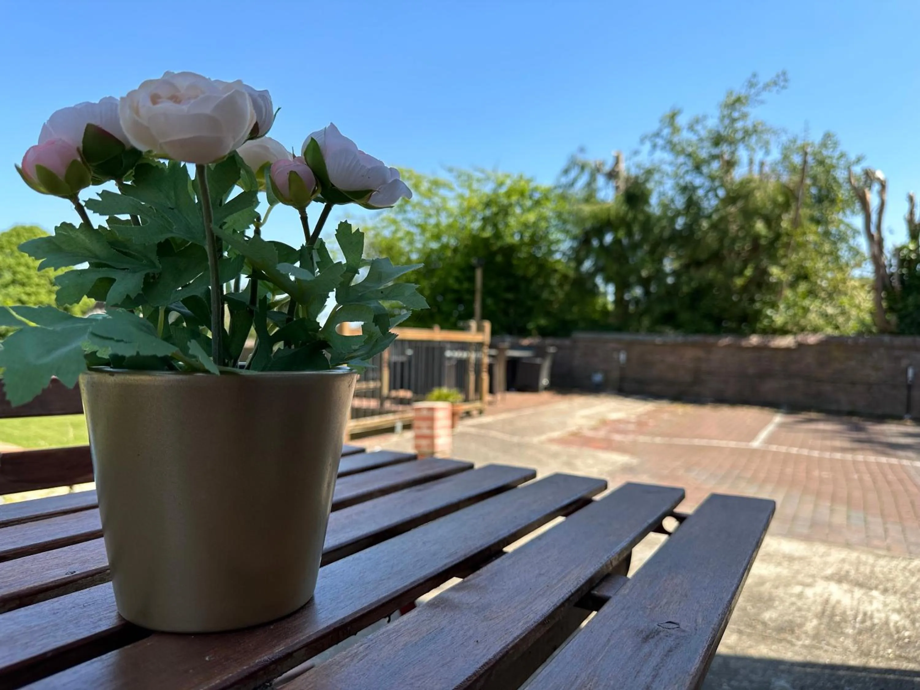 Spring in Anand Lodge