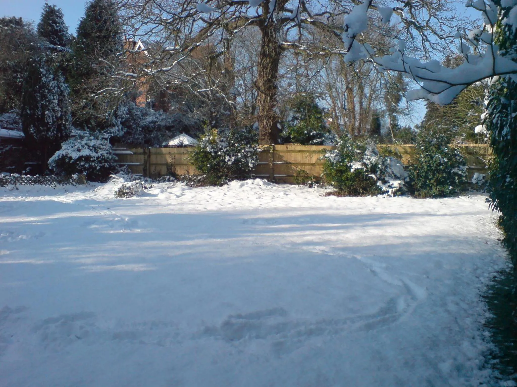 Winter in Anand Lodge