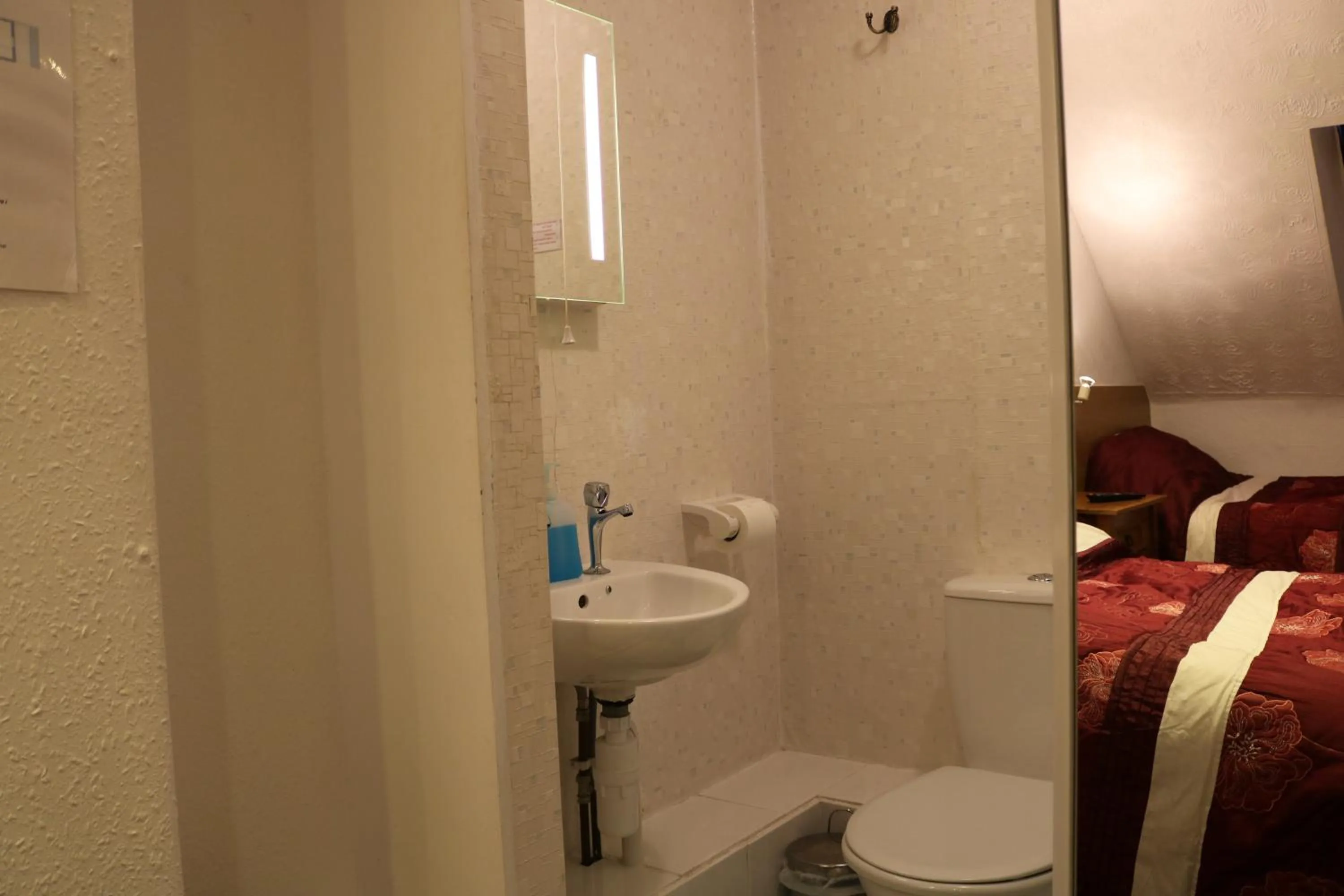 Toilet in Anand Lodge