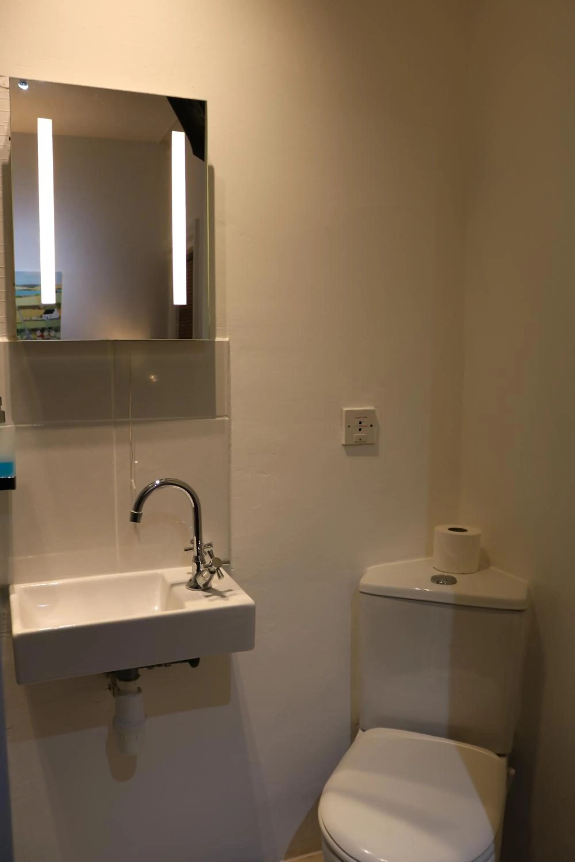 Toilet in Anand Lodge