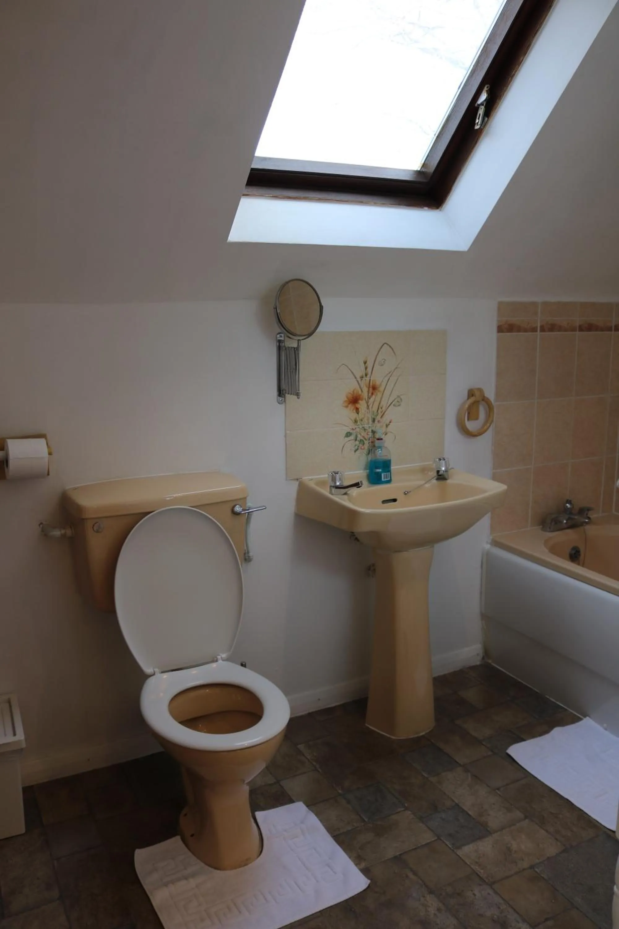 Toilet in Anand Lodge