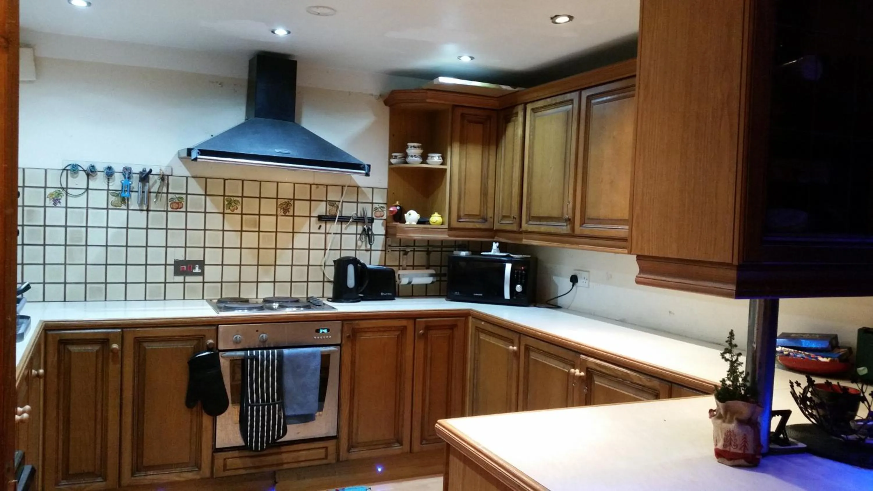 Meals in Anand Lodge