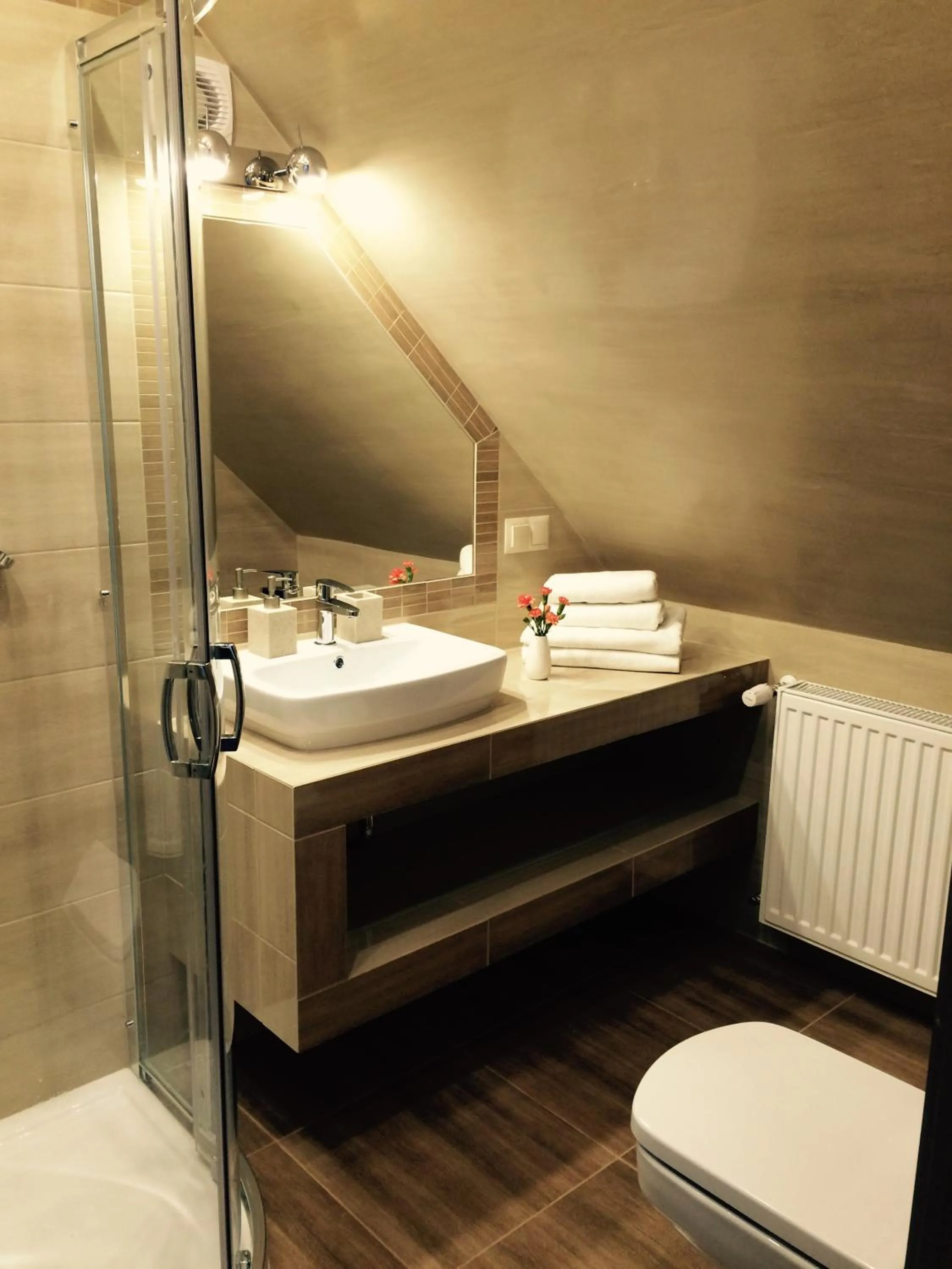 Bathroom in Goprówka
