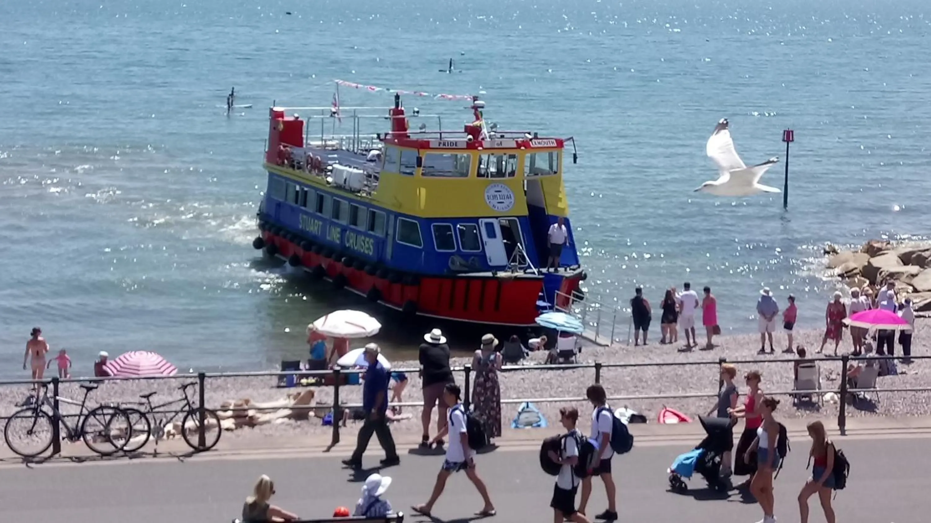 Beach in Hotel Riviera