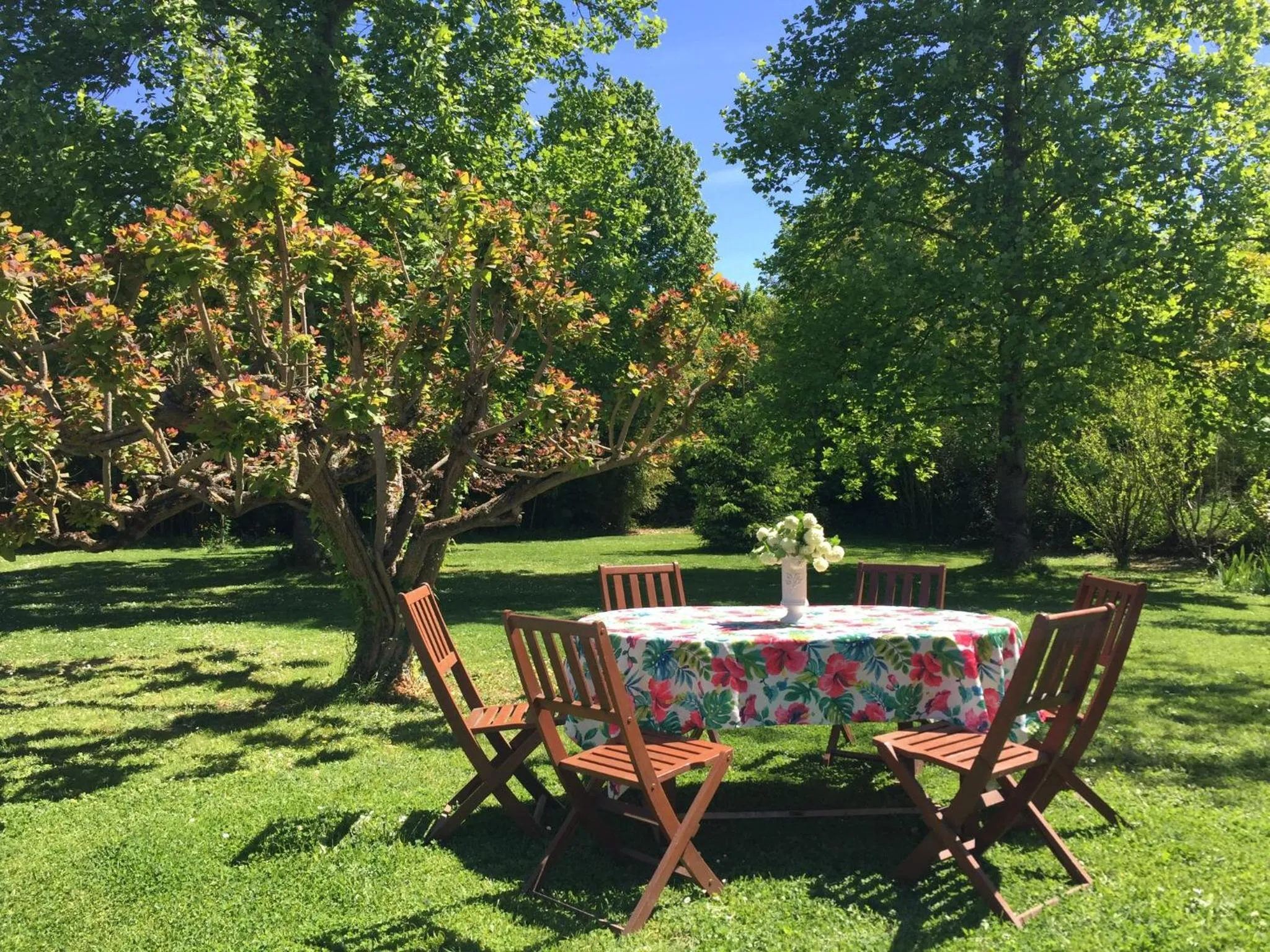 Natural landscape in Villa Toulousaine