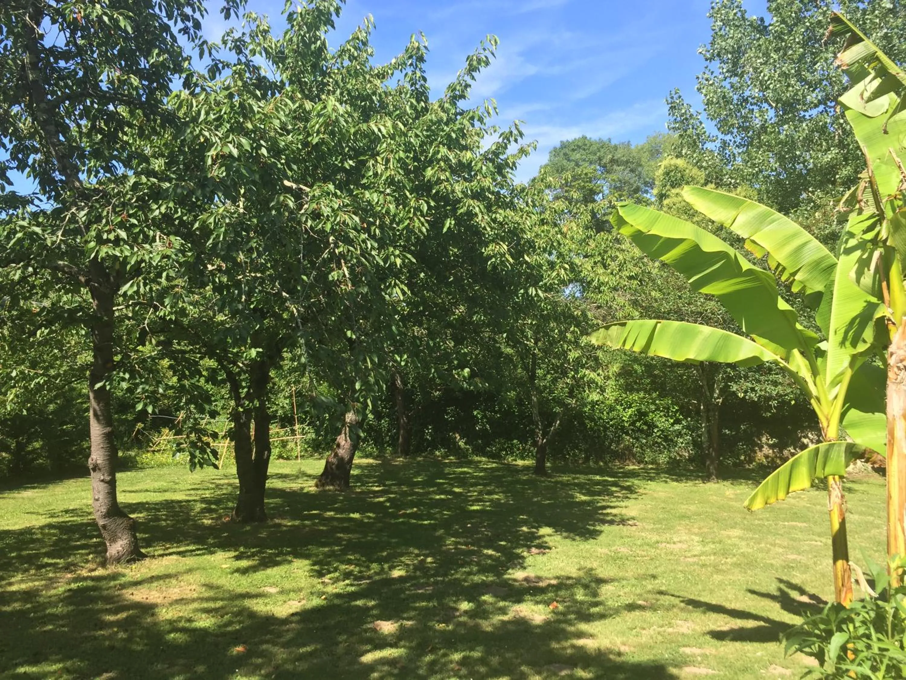 Property building in Villa Toulousaine