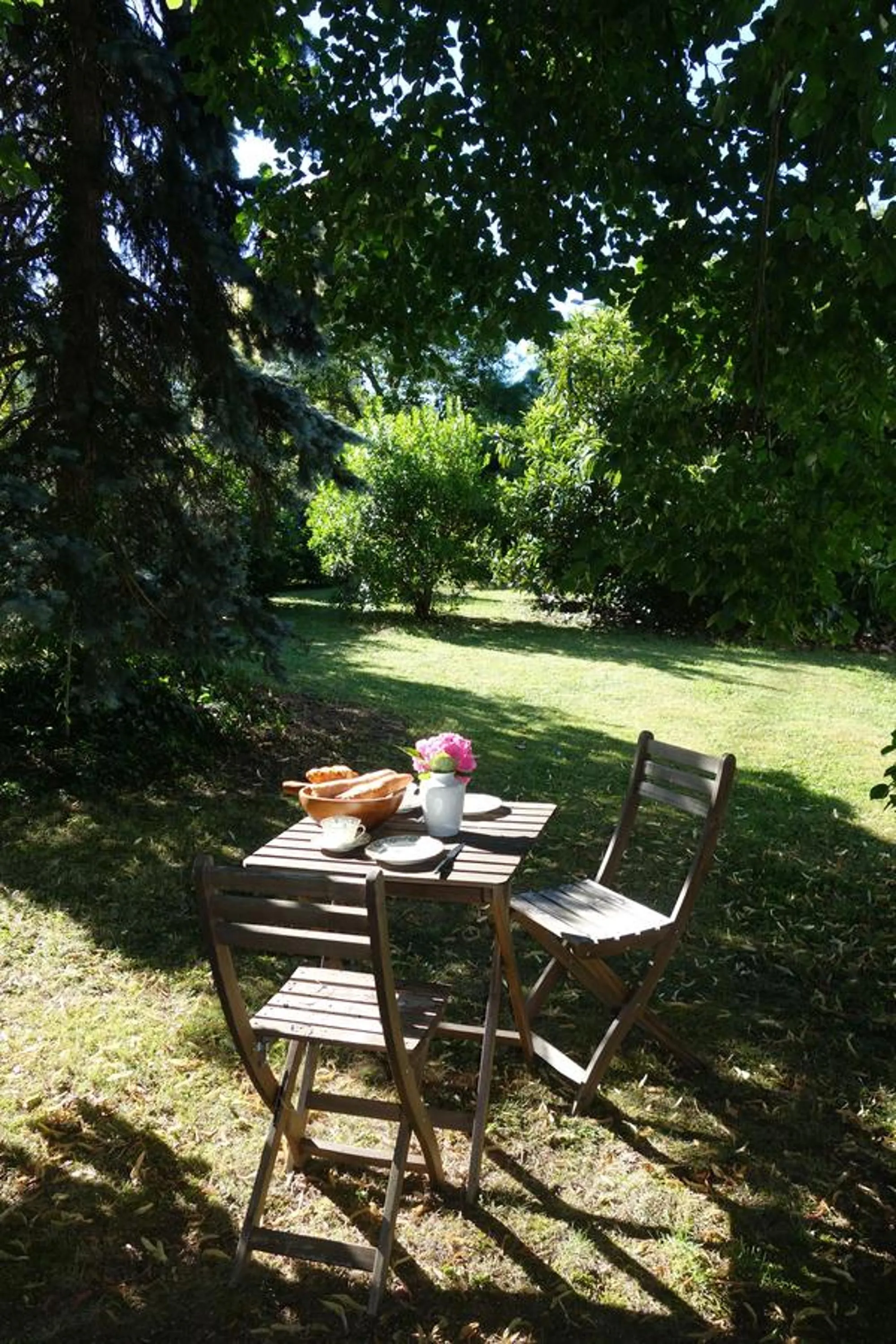 Library in Villa Toulousaine