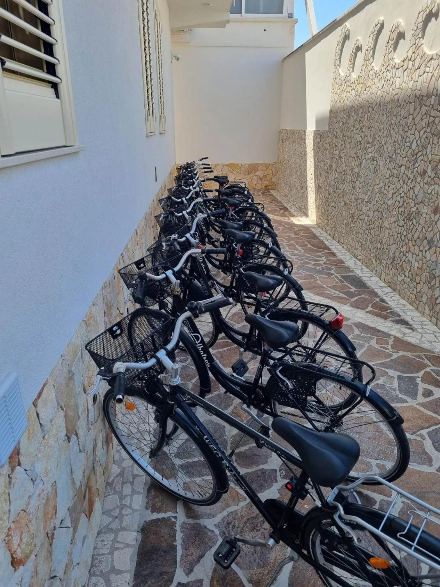 Decorative detail in Albatros B&B Porto Cesareo