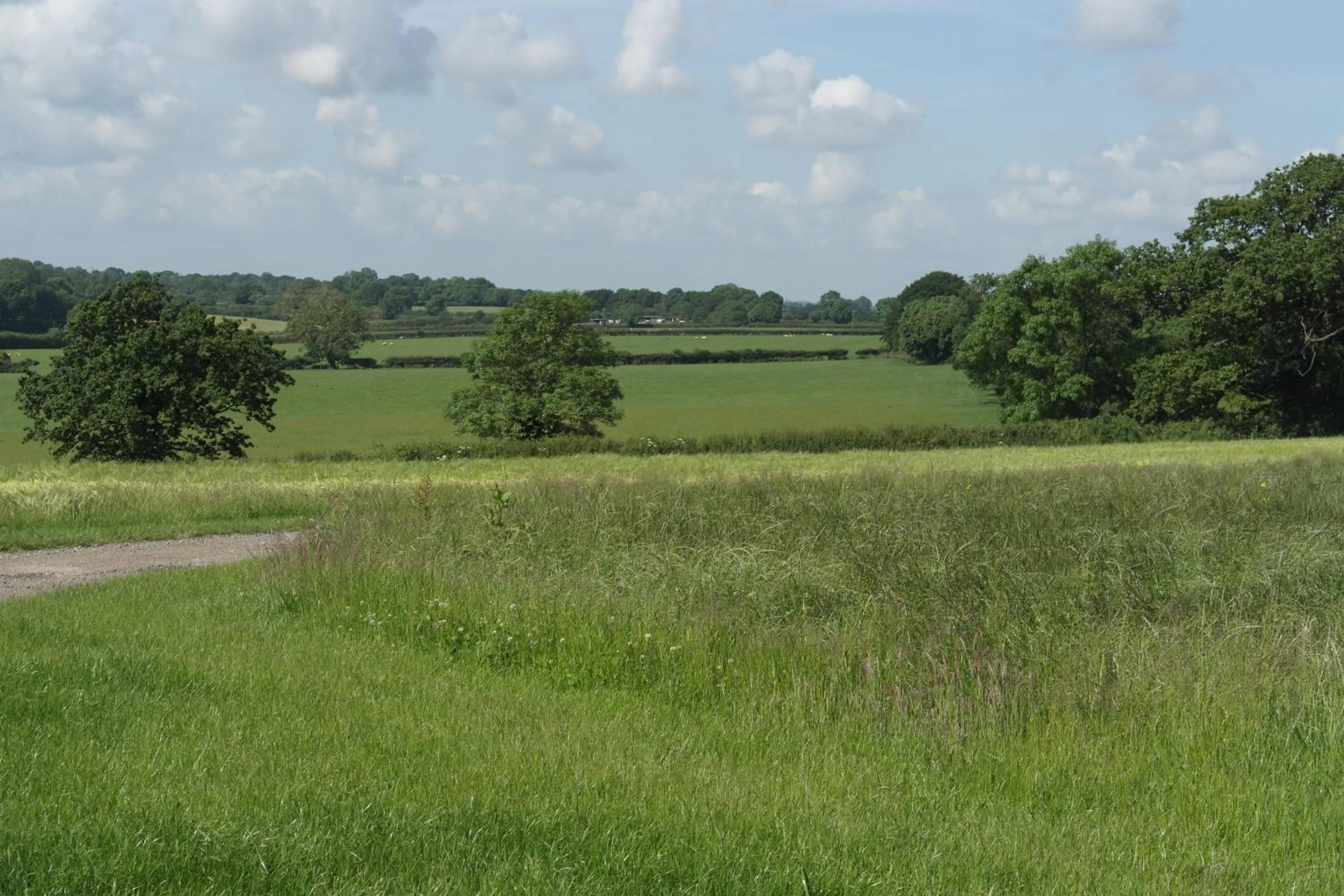 Street view in Handley Barn