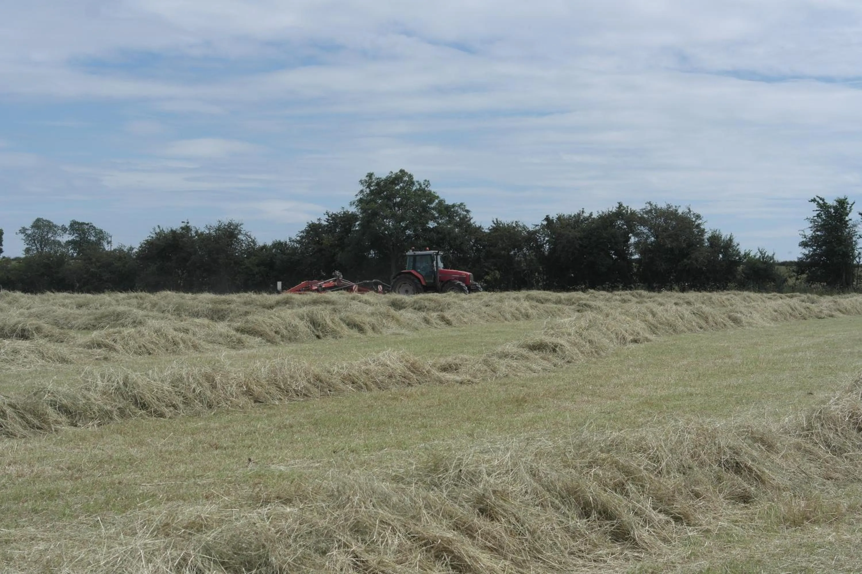 View (from property/room) in Handley Barn