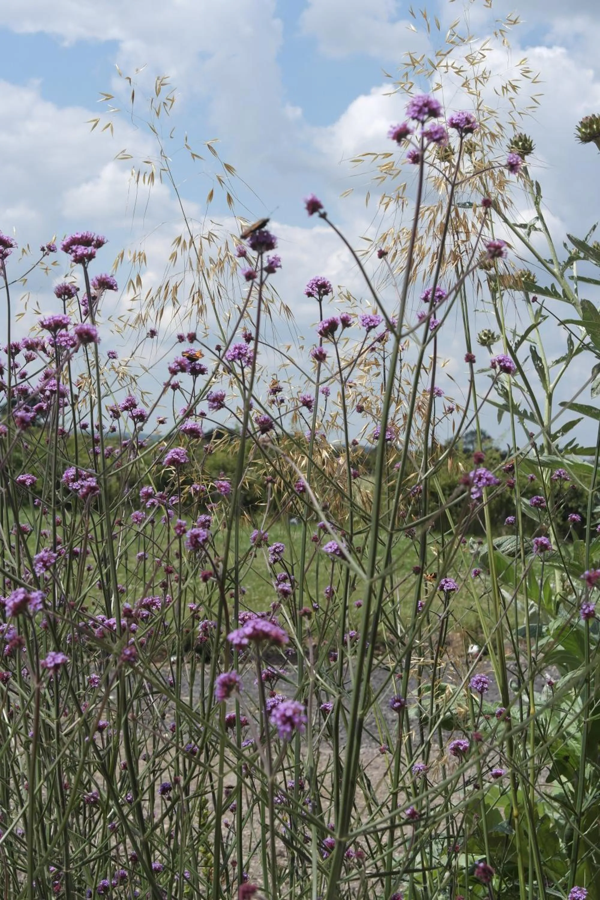 Decorative detail in Handley Barn