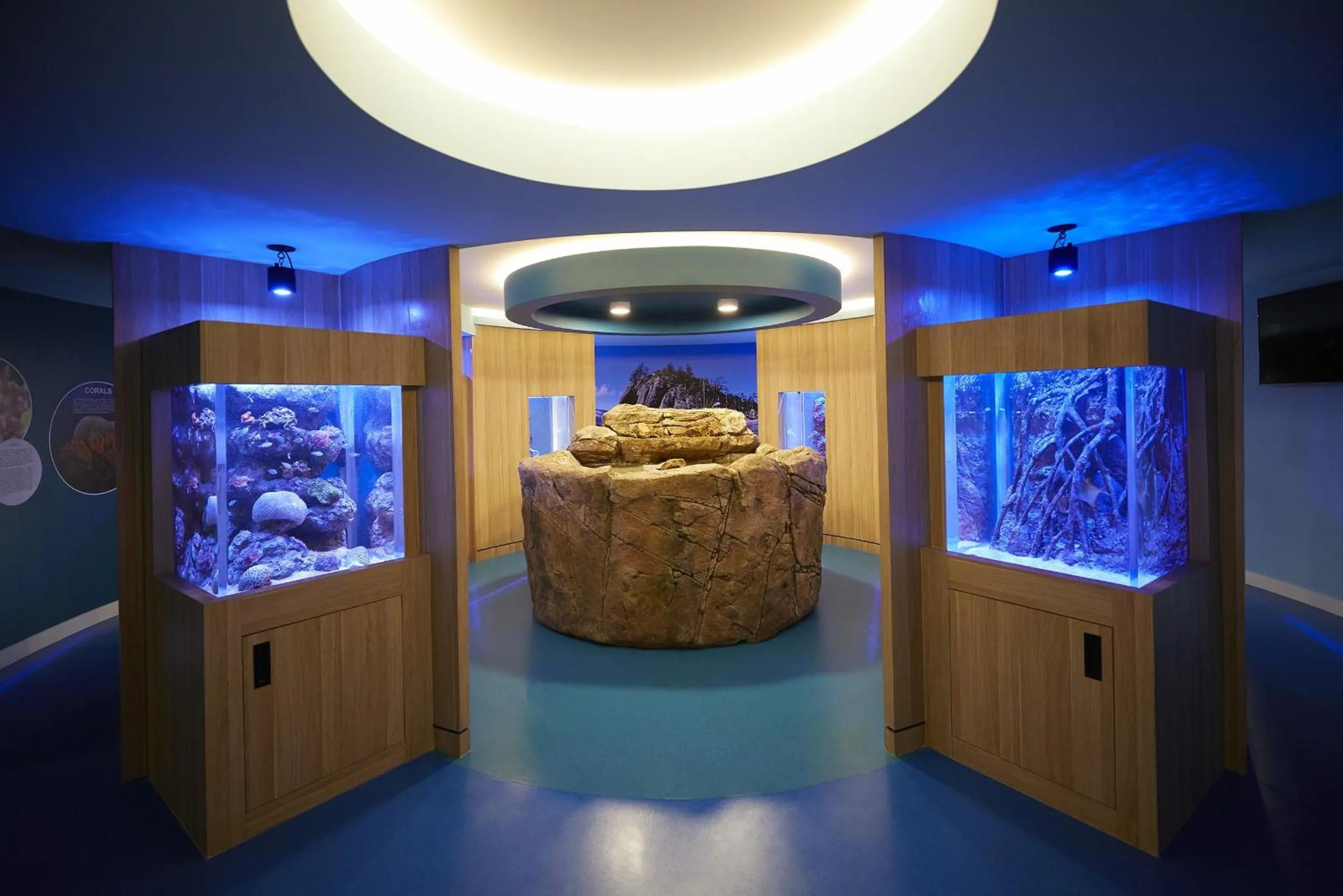 Activities in Daydream Island Resort