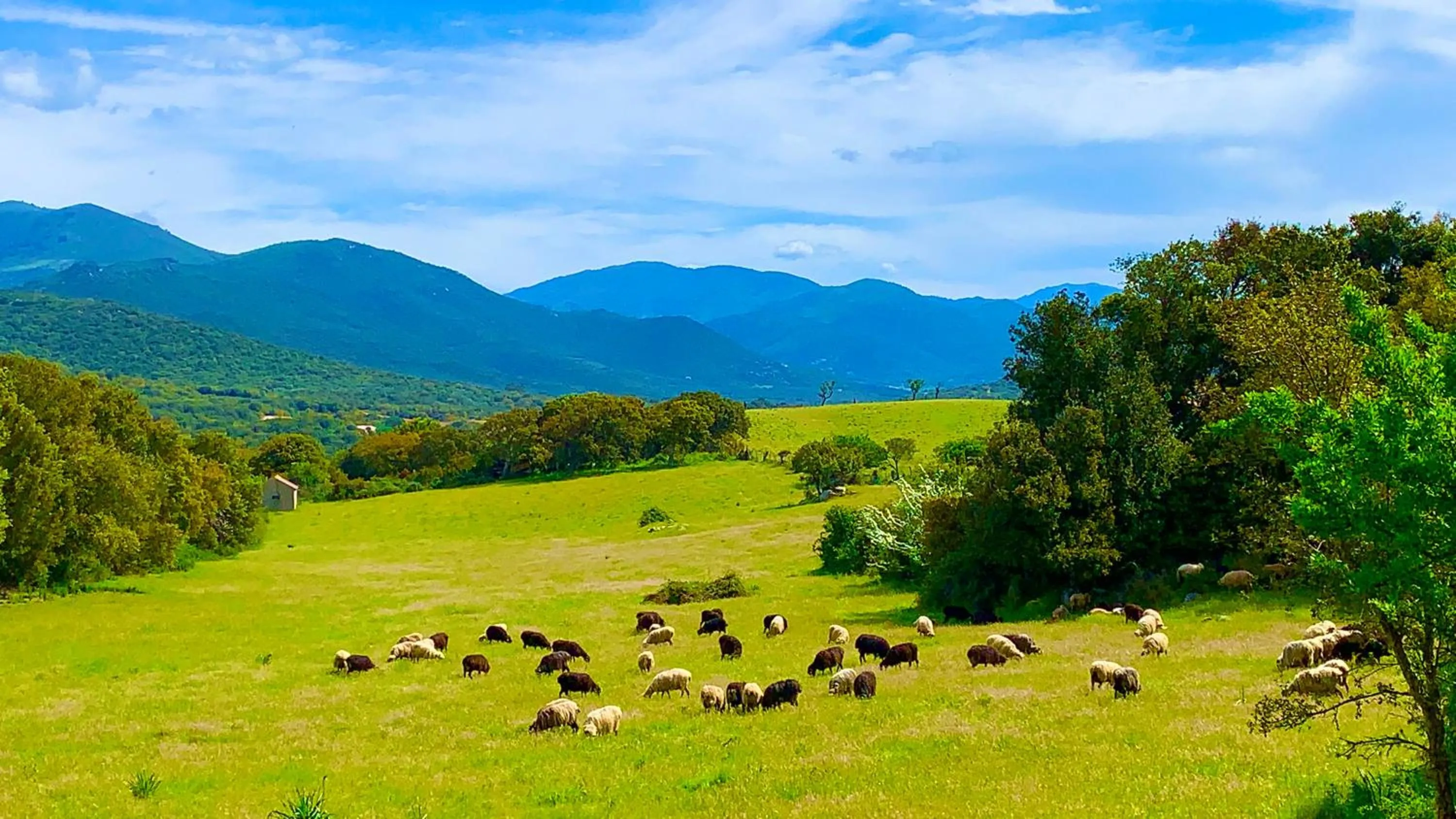 Nearby landmark in L'Aravone Lodge