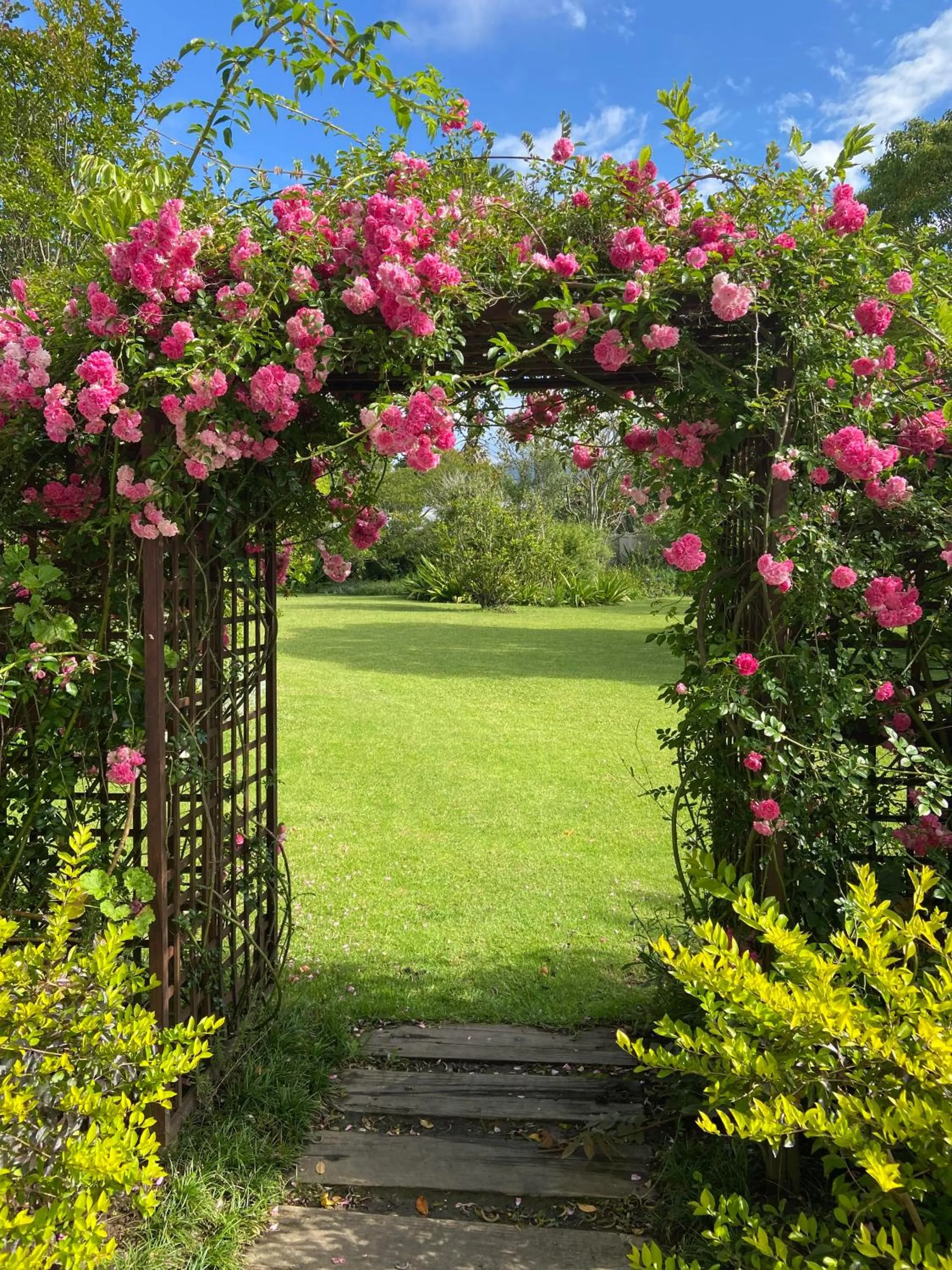 Garden in Cherry Berry Lodge