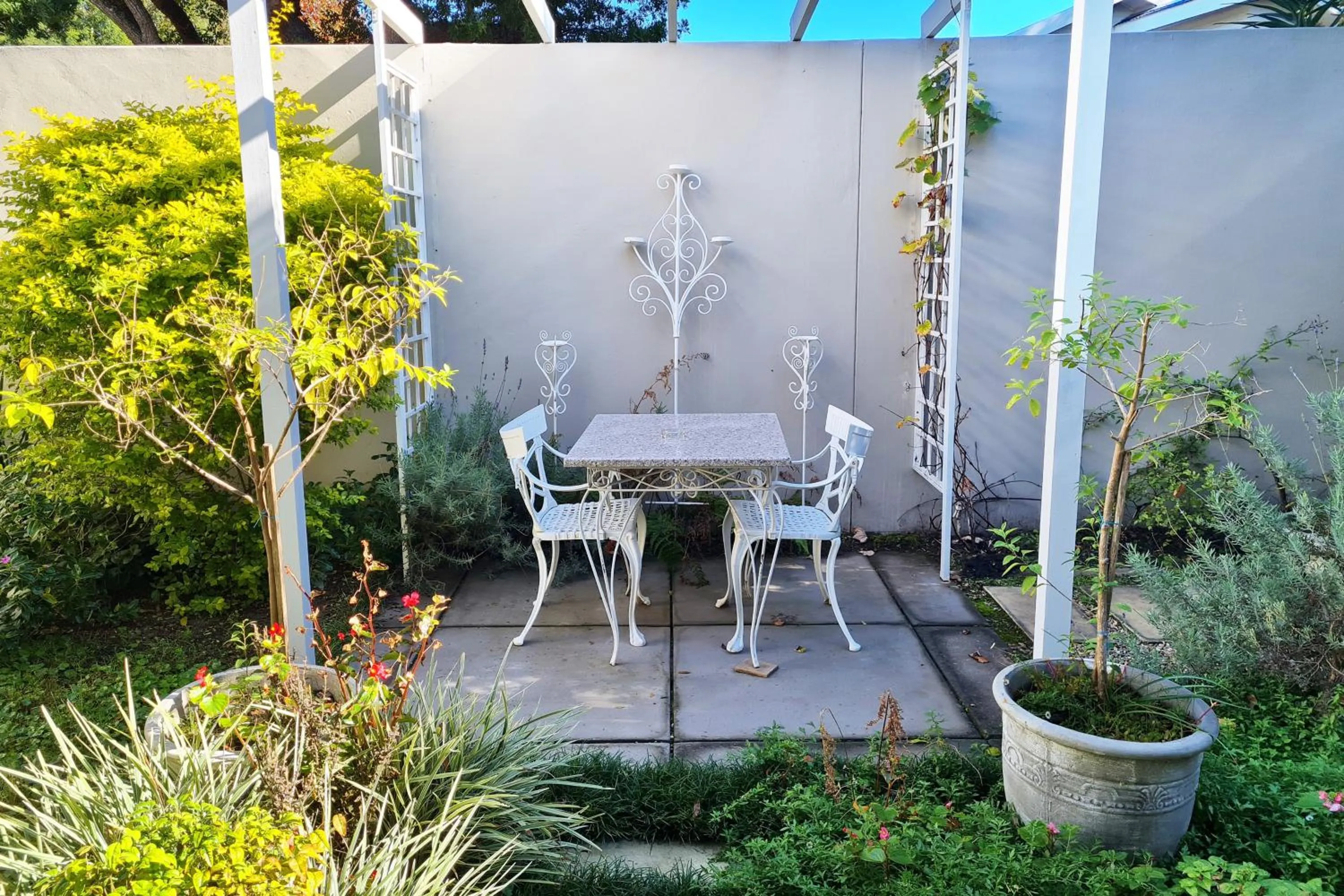 Property building in Cherry Berry Lodge