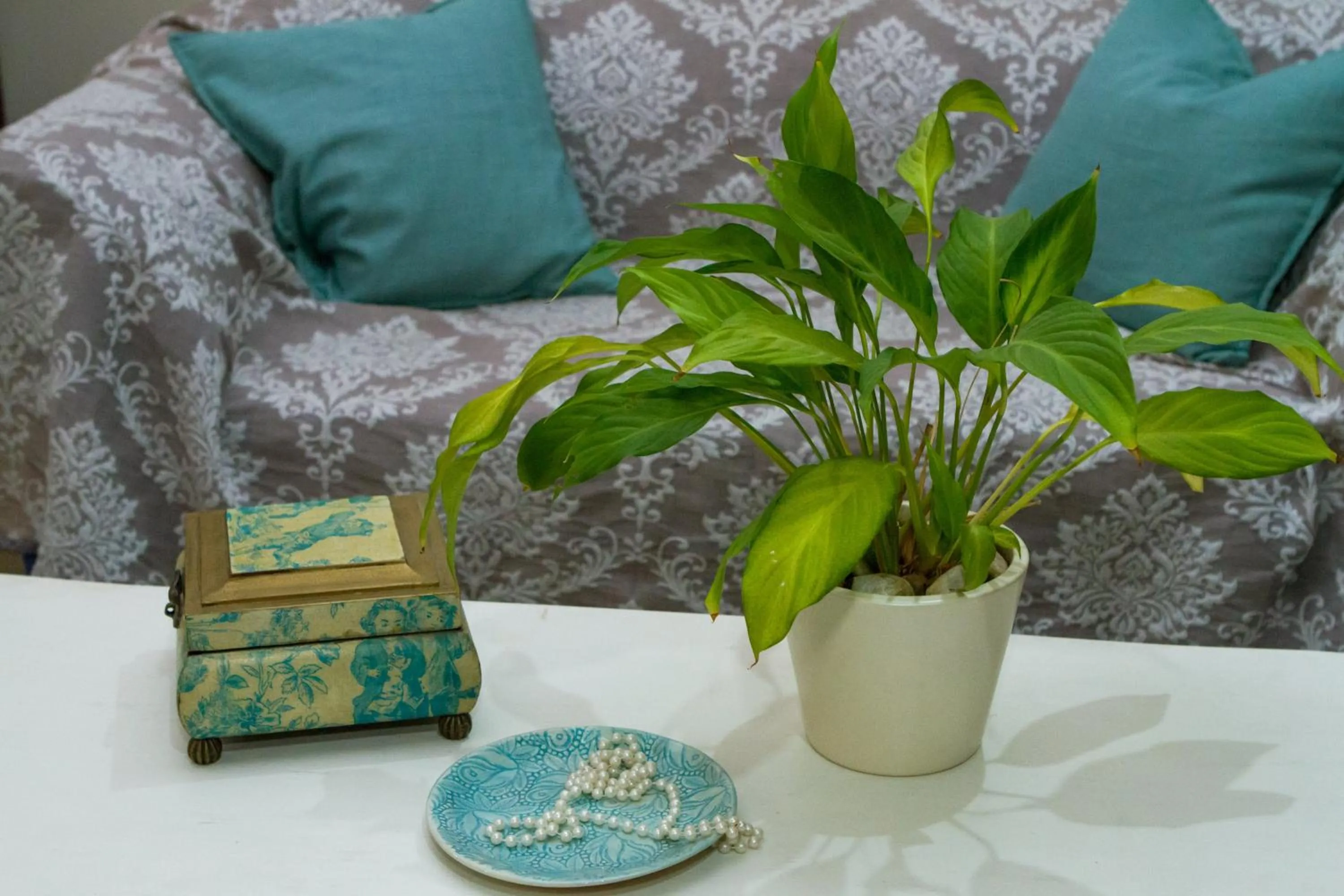 Lounge or bar in Cherry Berry Lodge