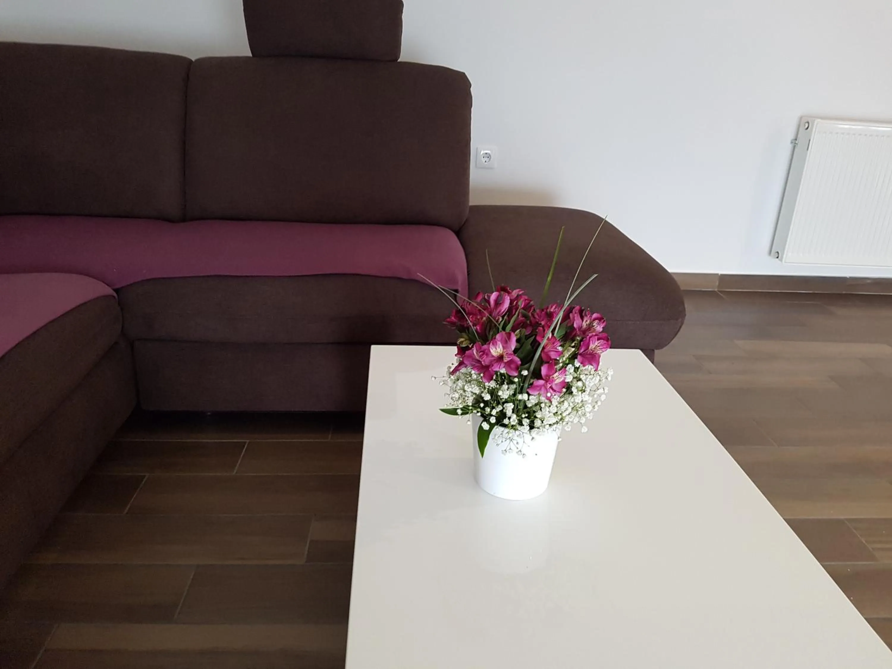 Living room in Apartments Tereza