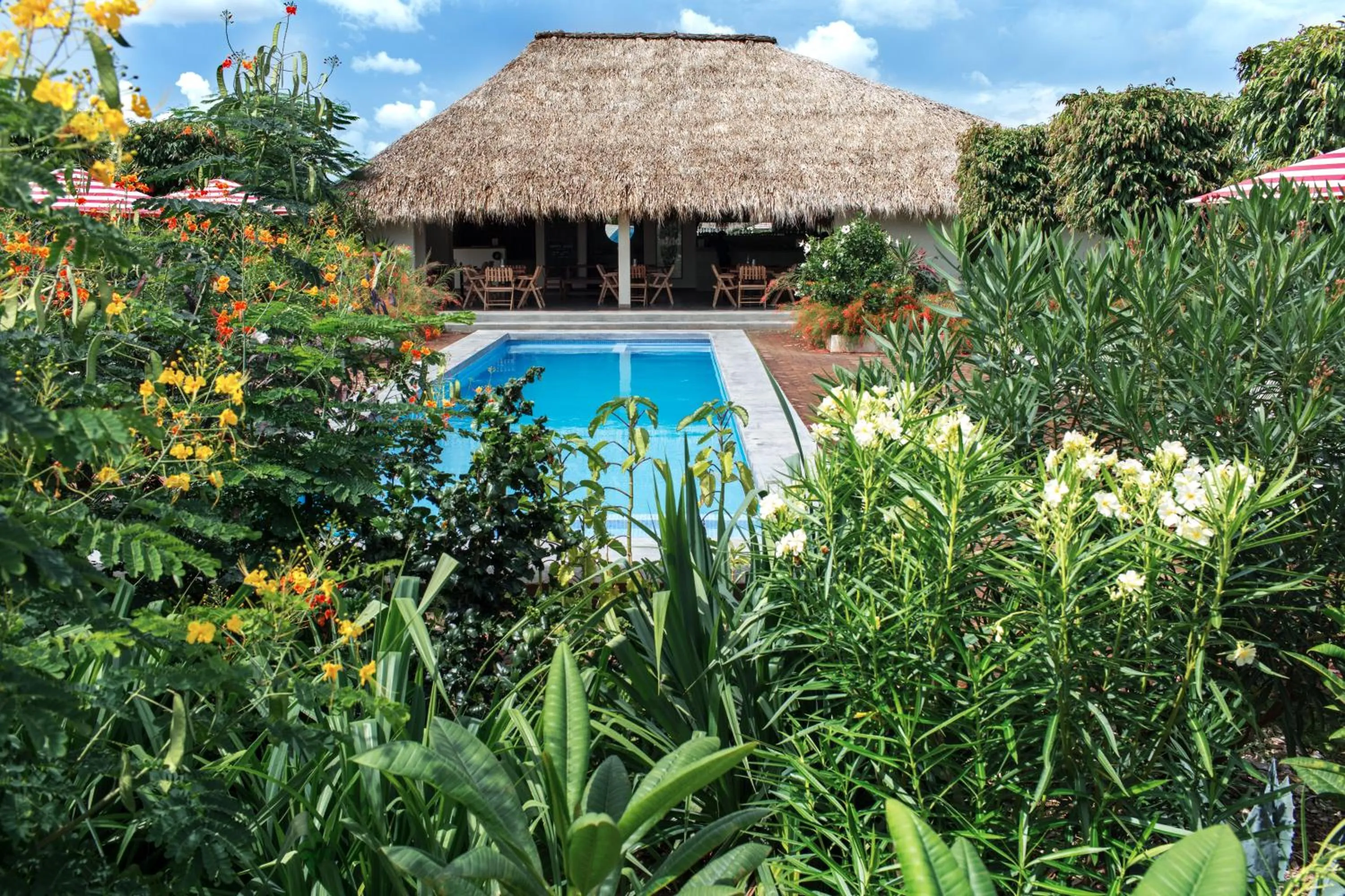 Property building in Malibu Popoyo