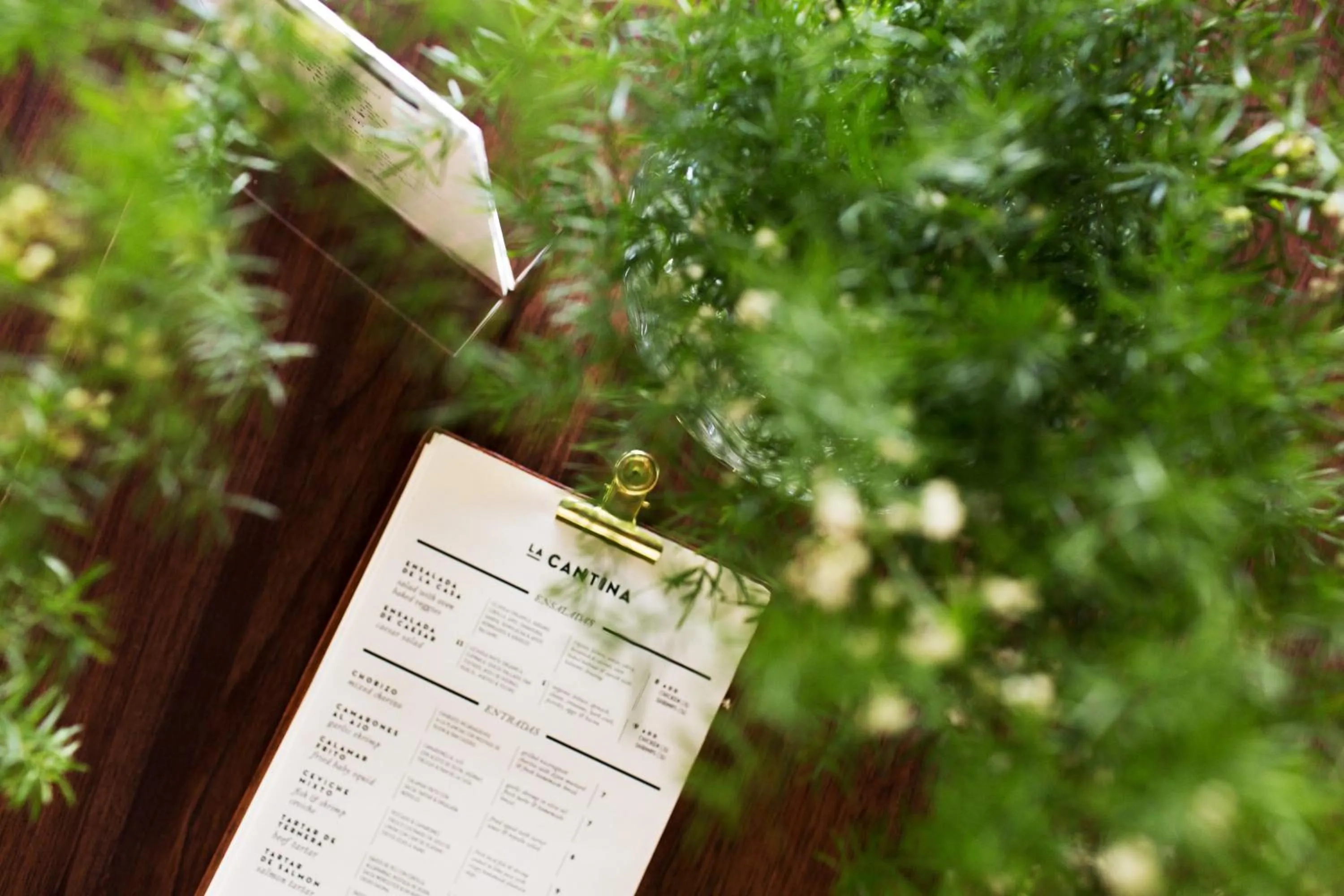 Communal lounge/ TV room in Malibu Popoyo