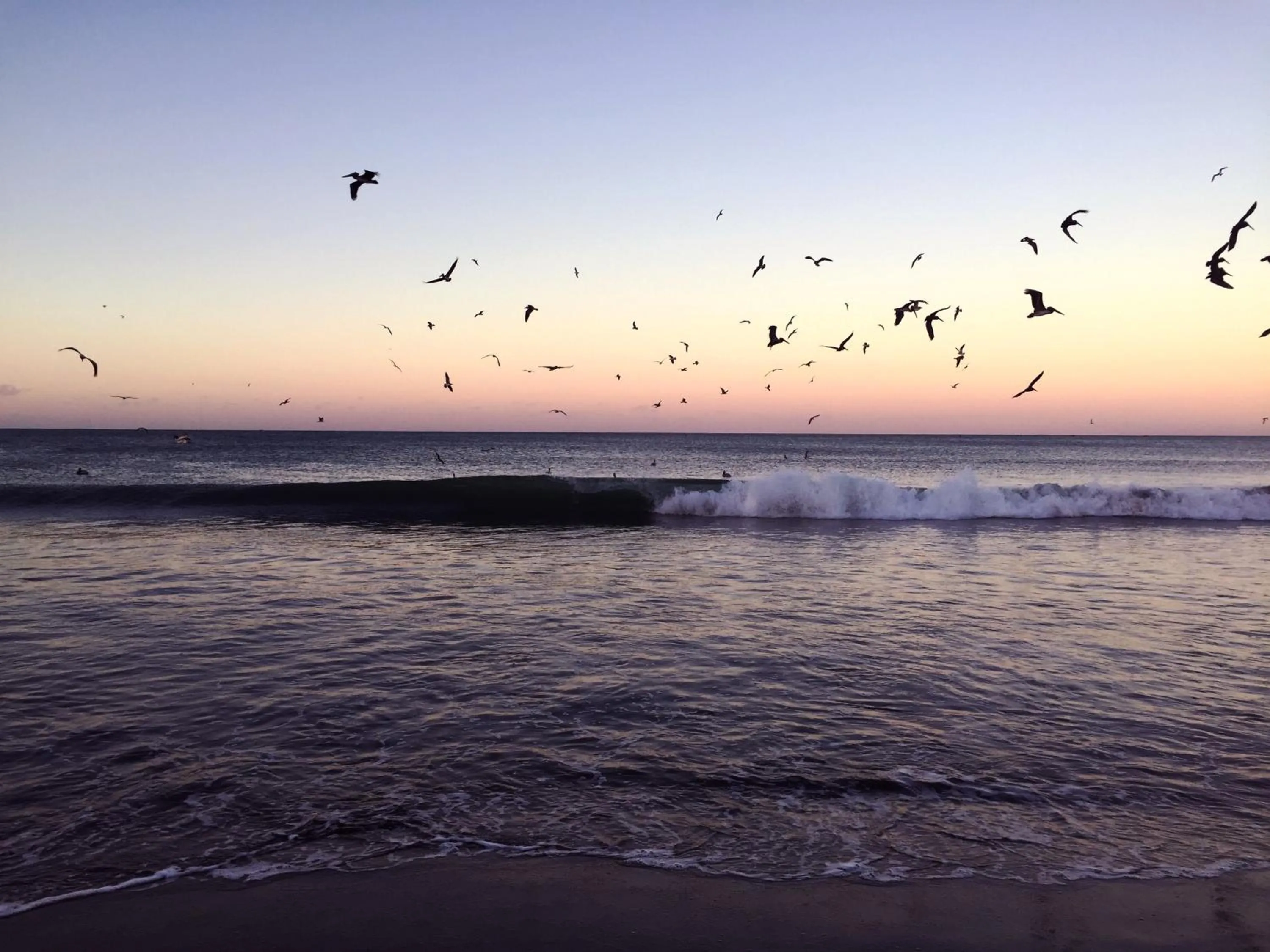 Beach in Malibu Popoyo