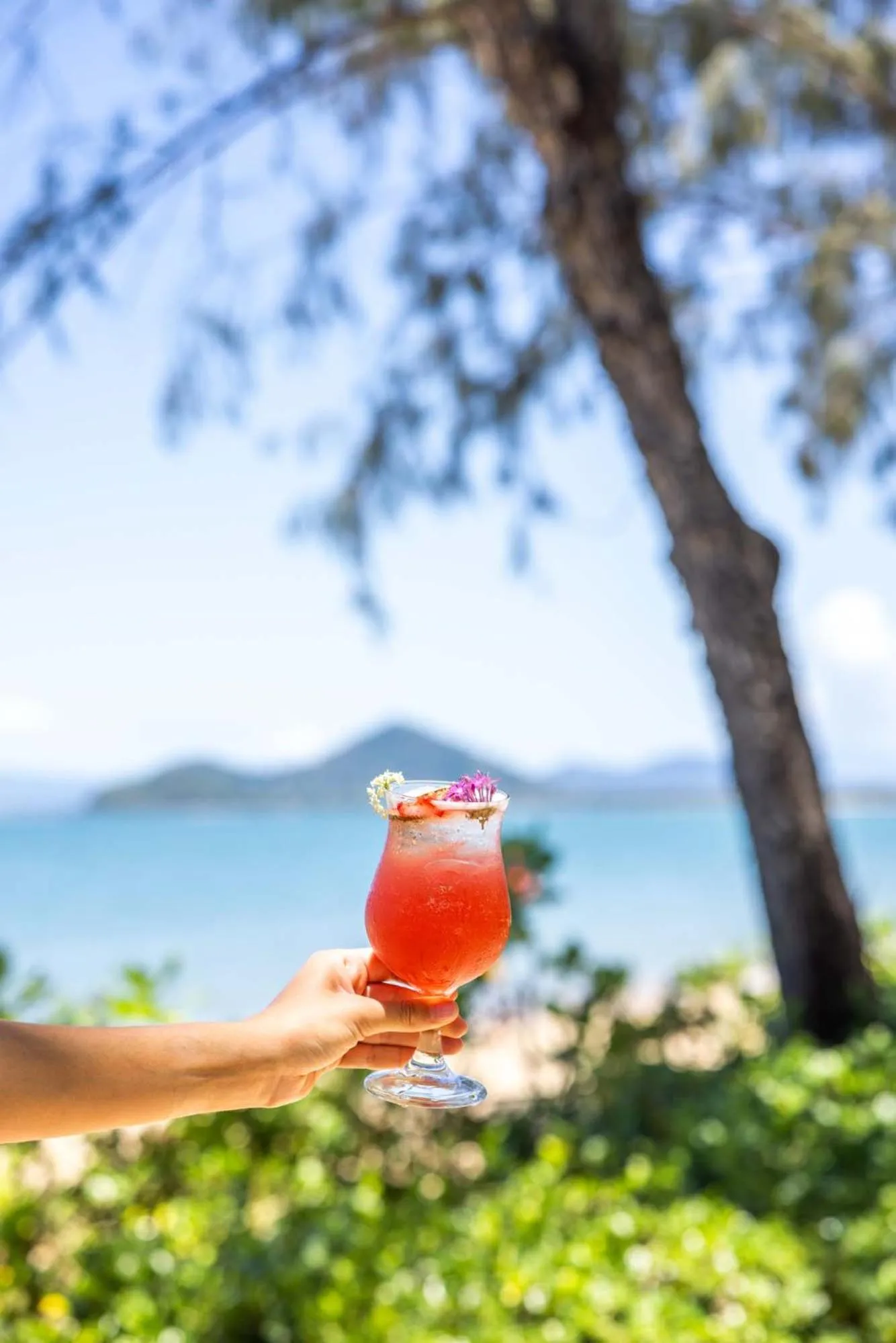 Drinks in Peppers Beach Club & Spa