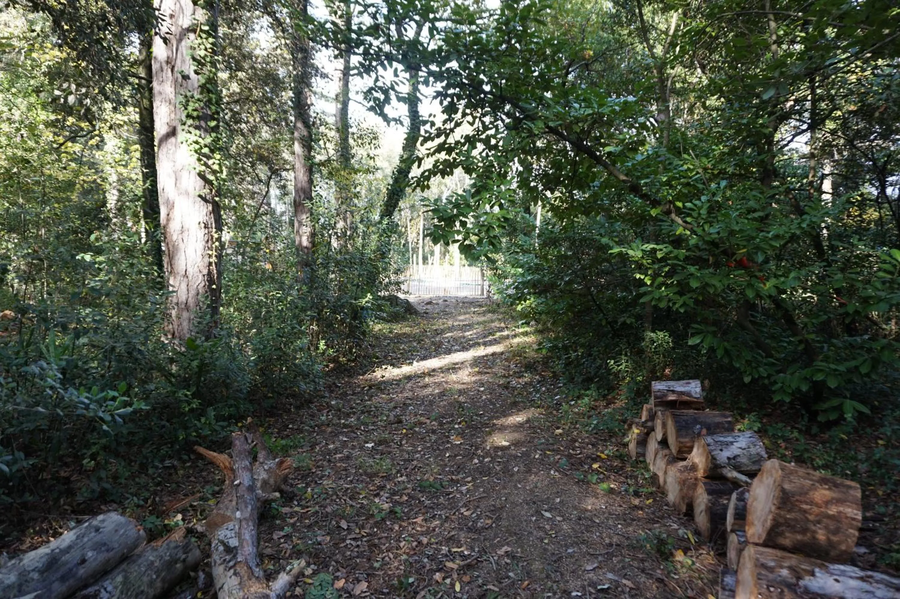 Garden in Le Clos des Troubadours