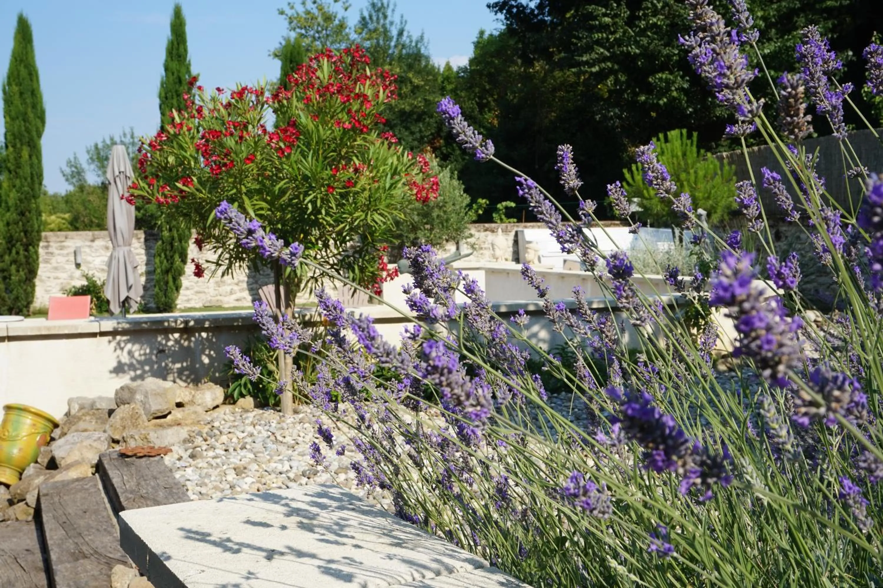 Swimming pool in Le Clos des Troubadours