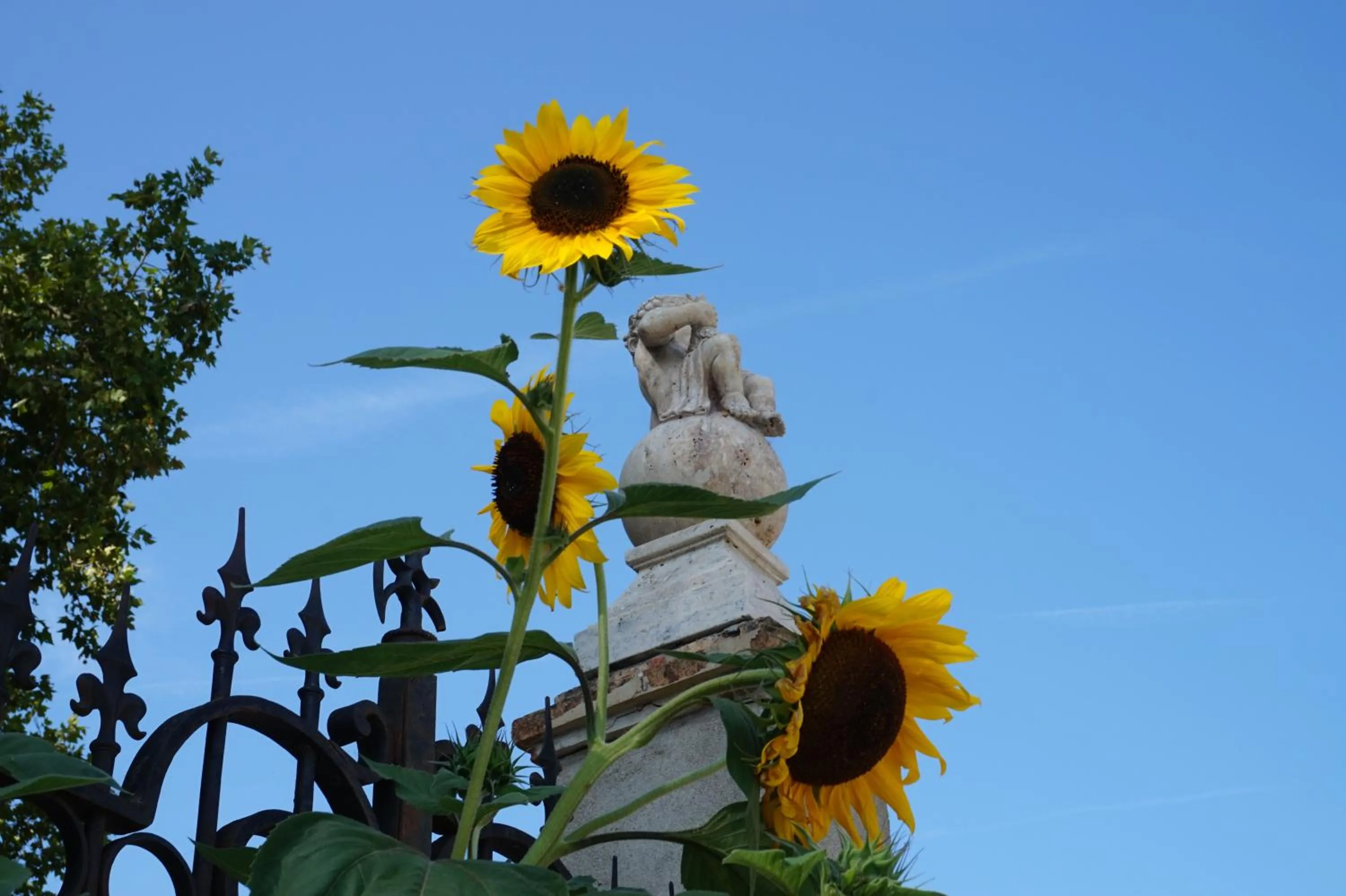 Garden view in Le Clos des Troubadours