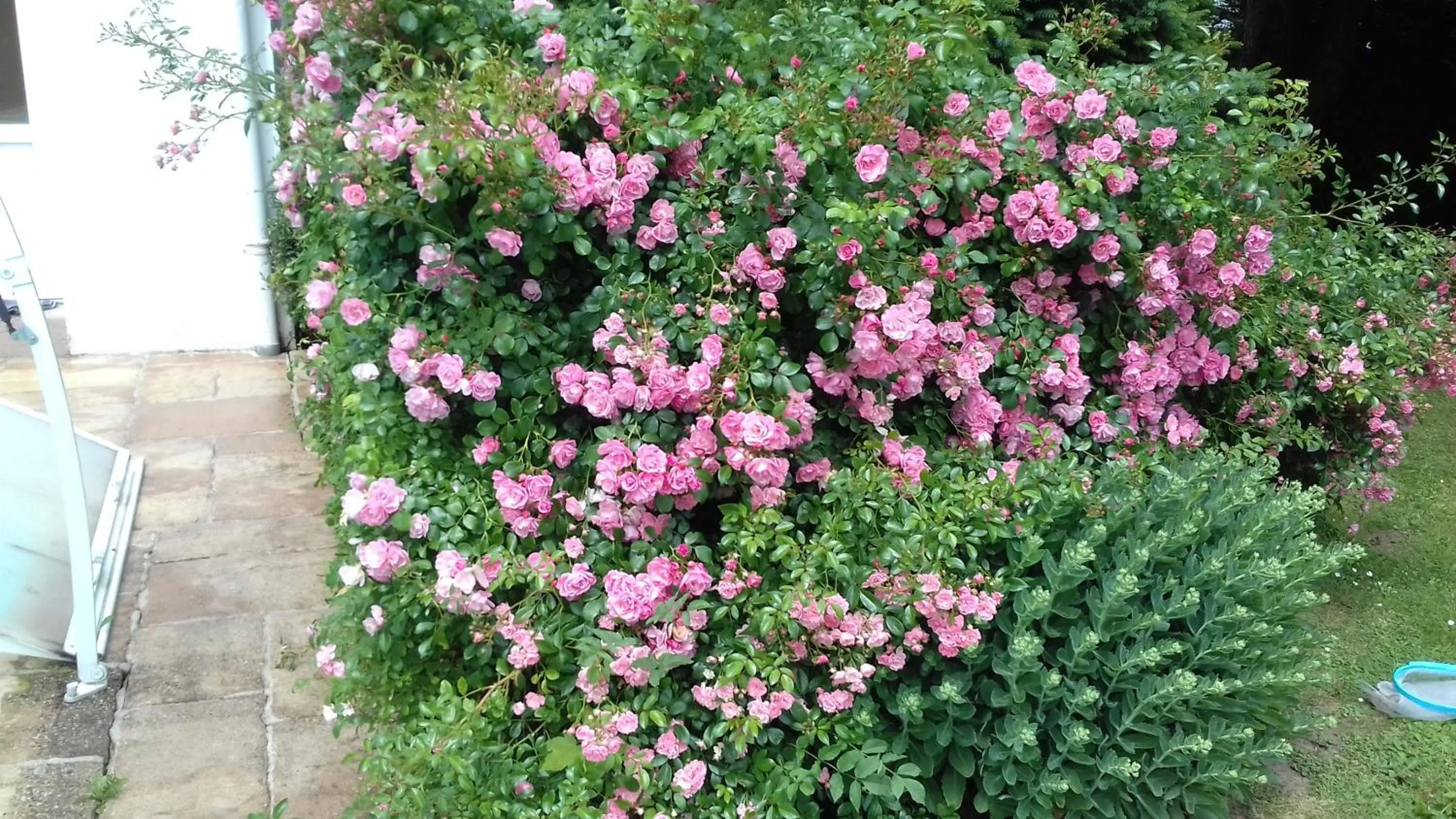 Garden in Au Bois Dormant