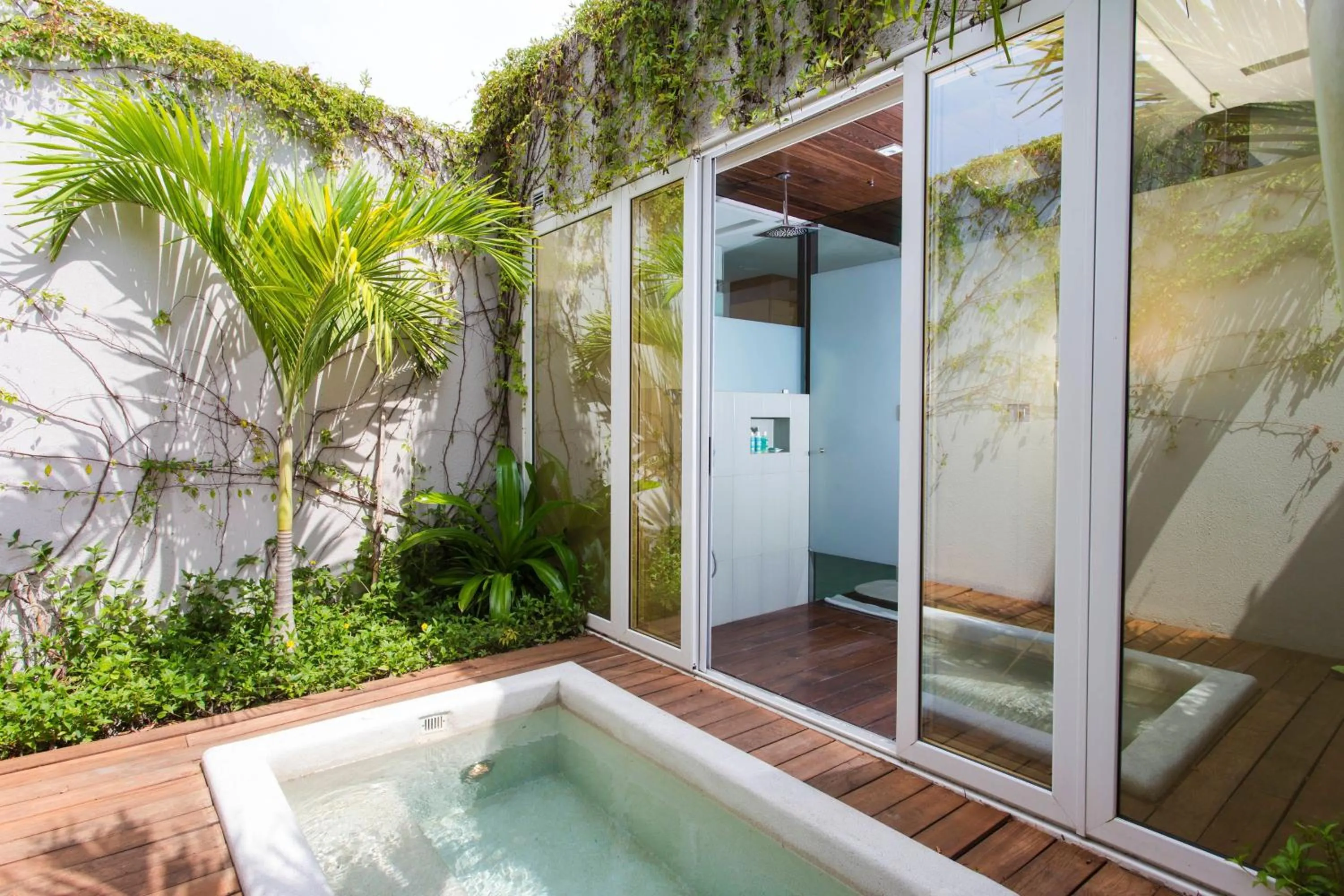 Photo of the whole room in W Punta de Mita