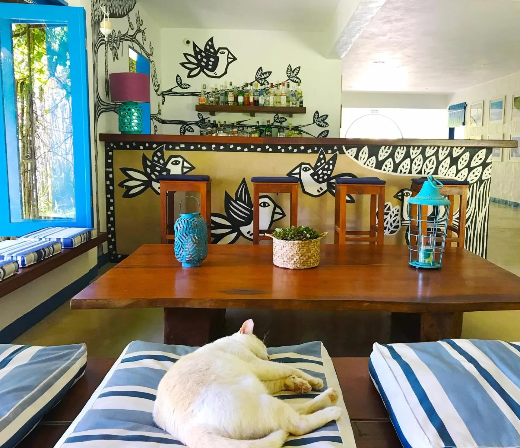 Lounge or bar in Pousada Xuê