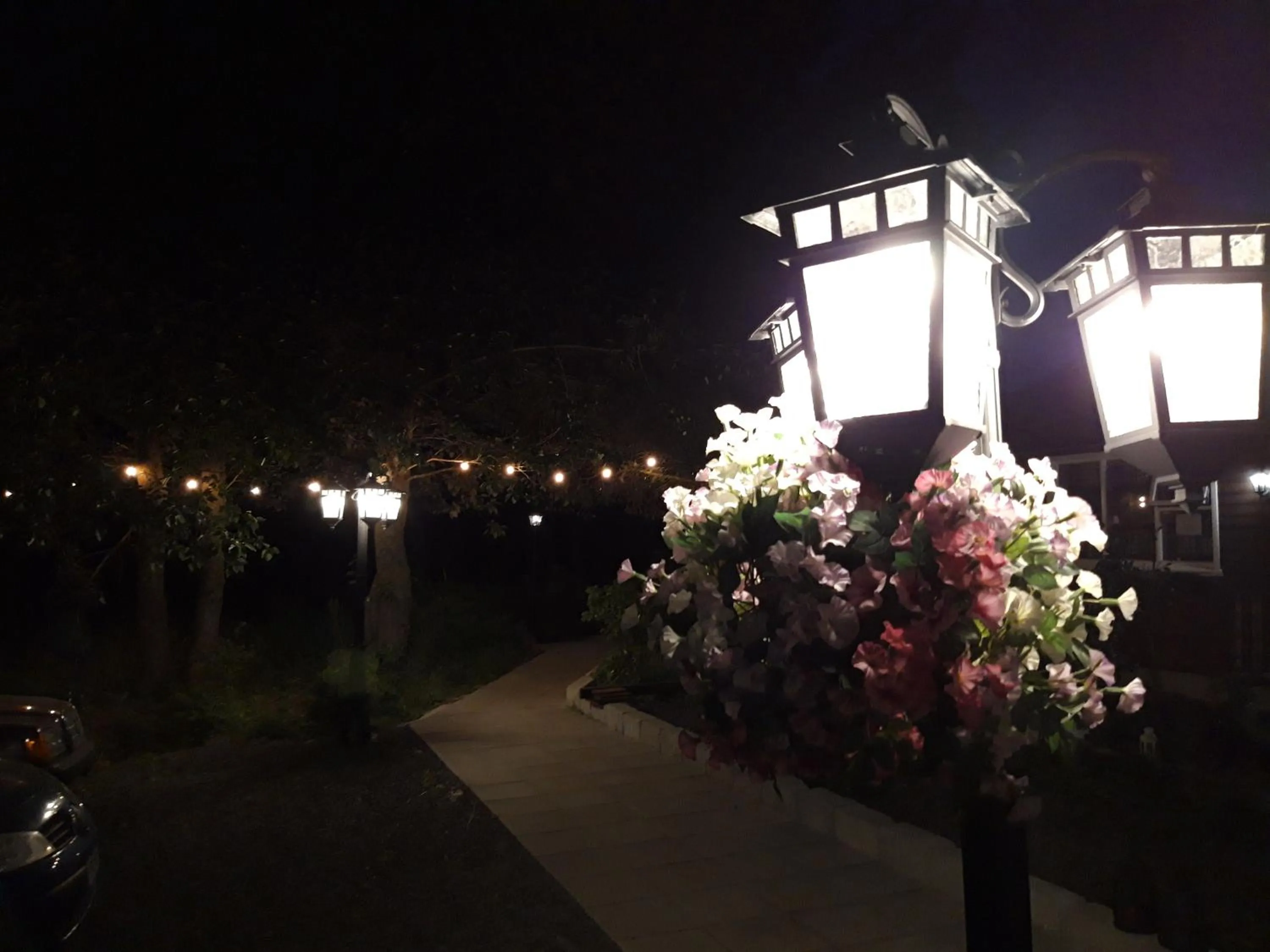 Country Dream - Langholt 2