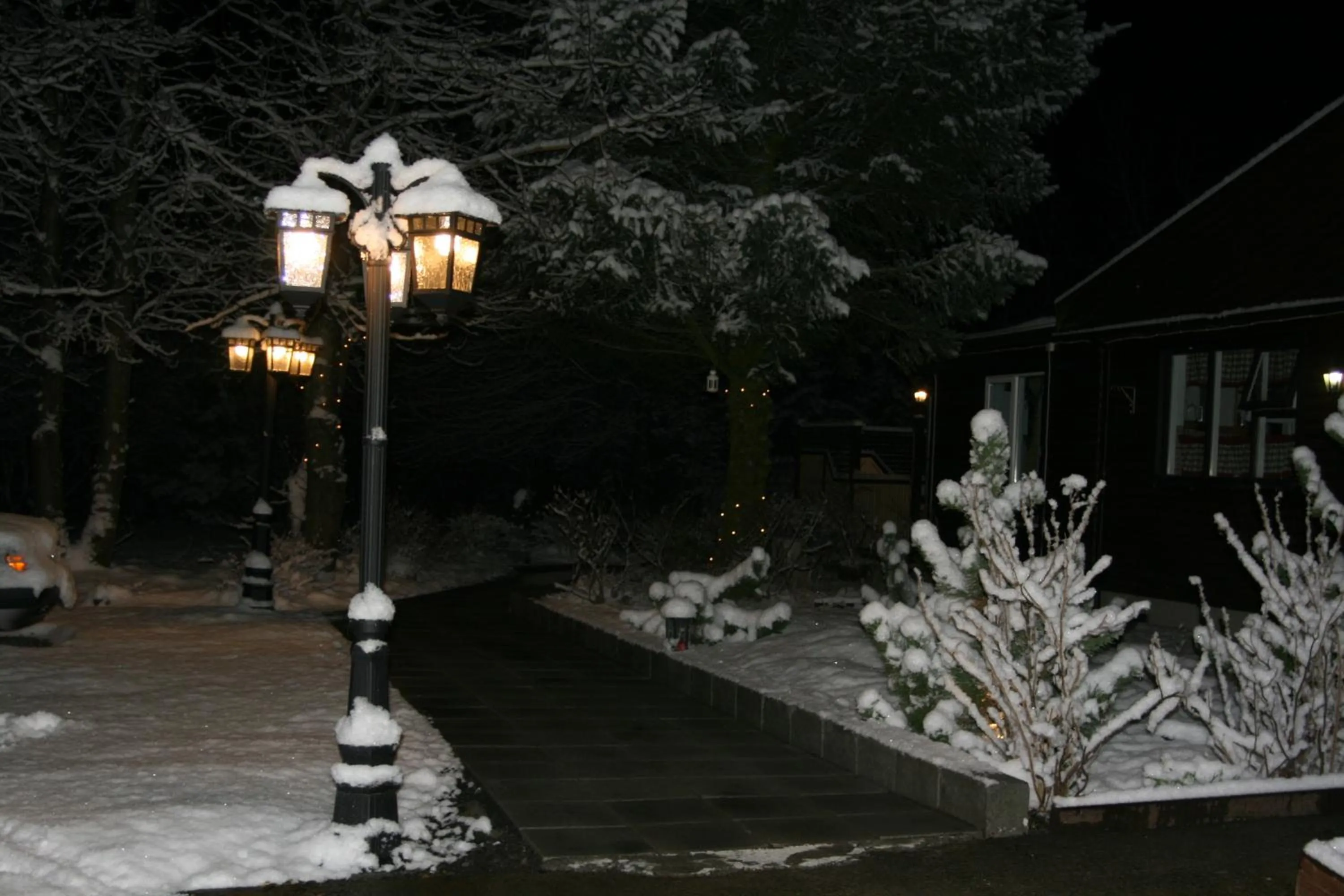 Country Dream - Langholt 2