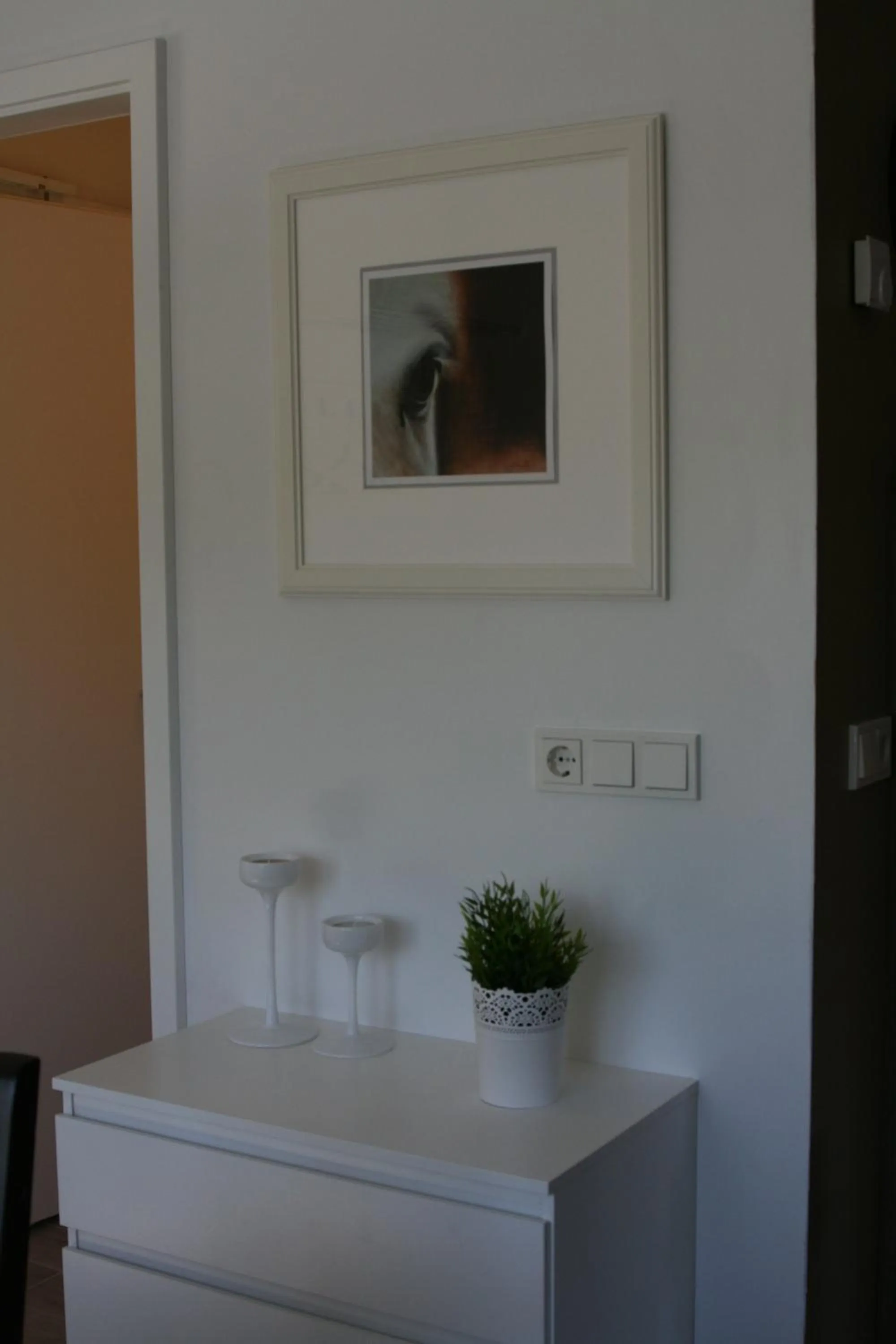 Country Dream - Langholt 2