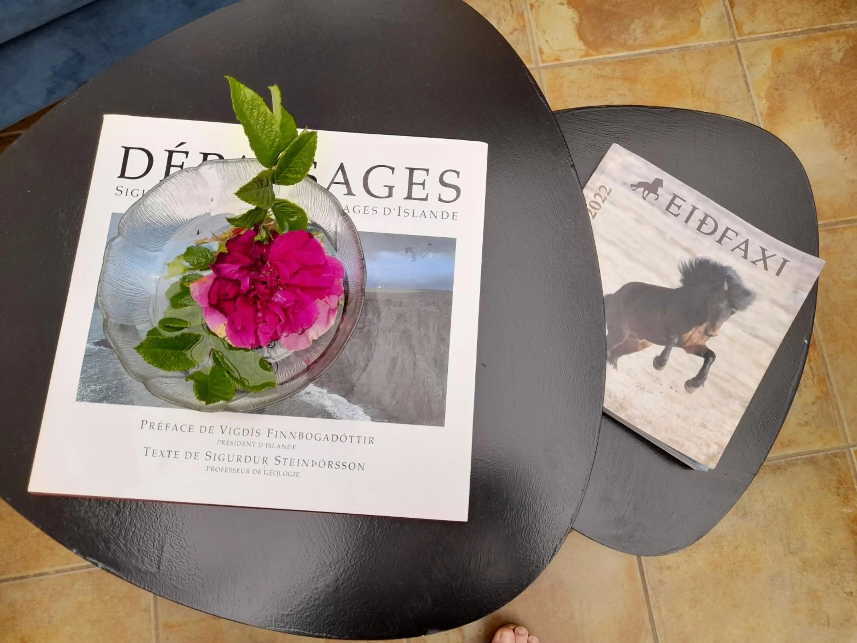 Country Dream - Langholt 2