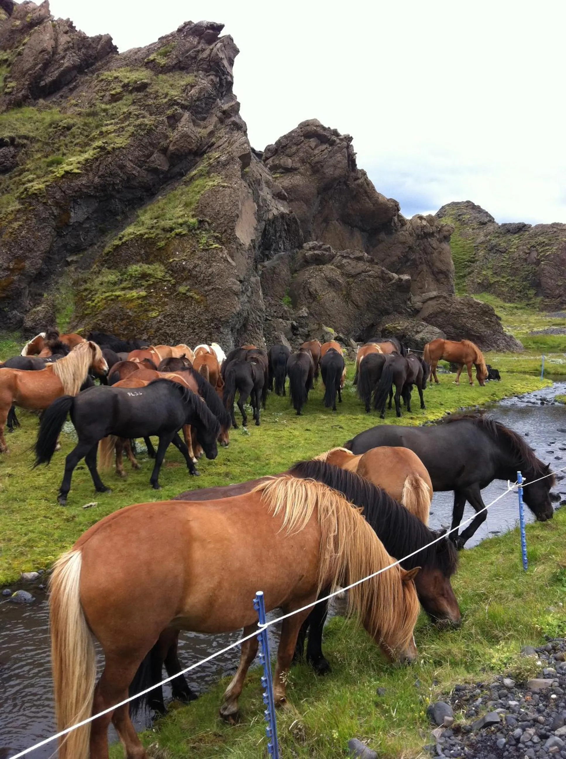 Day in Country Dream - Langholt 2