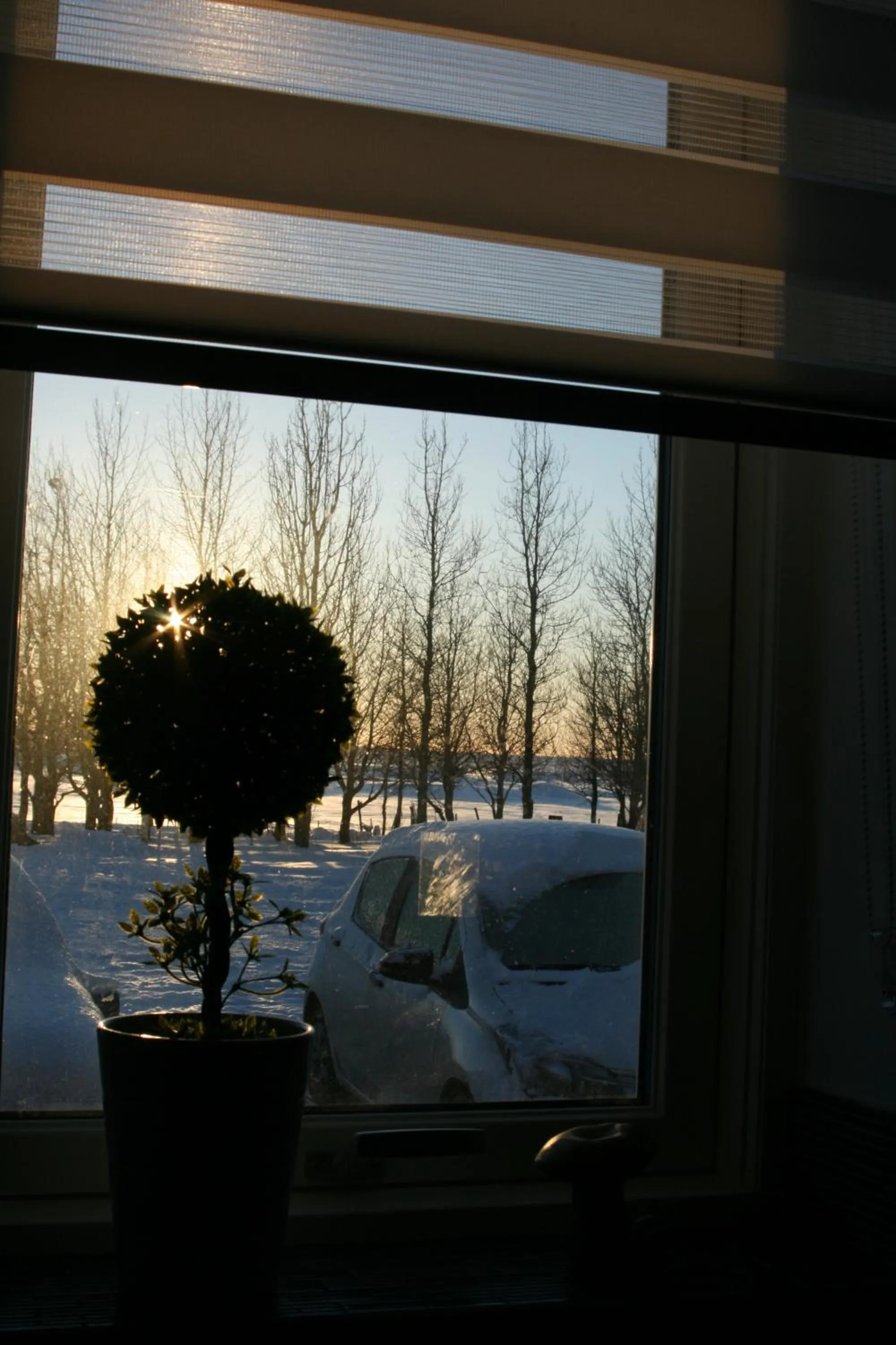 Country Dream - Langholt 2