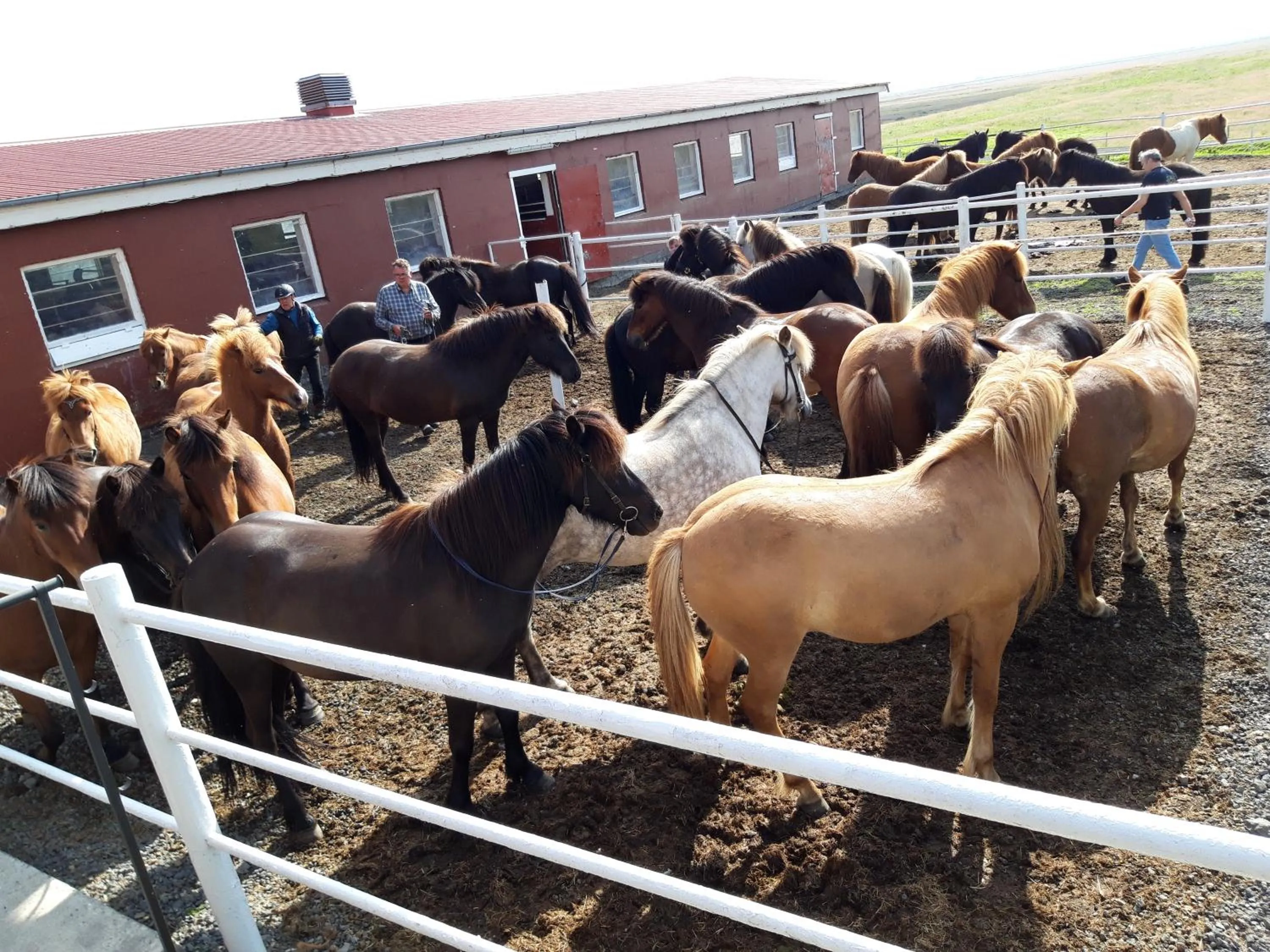 Country Dream - Langholt 2