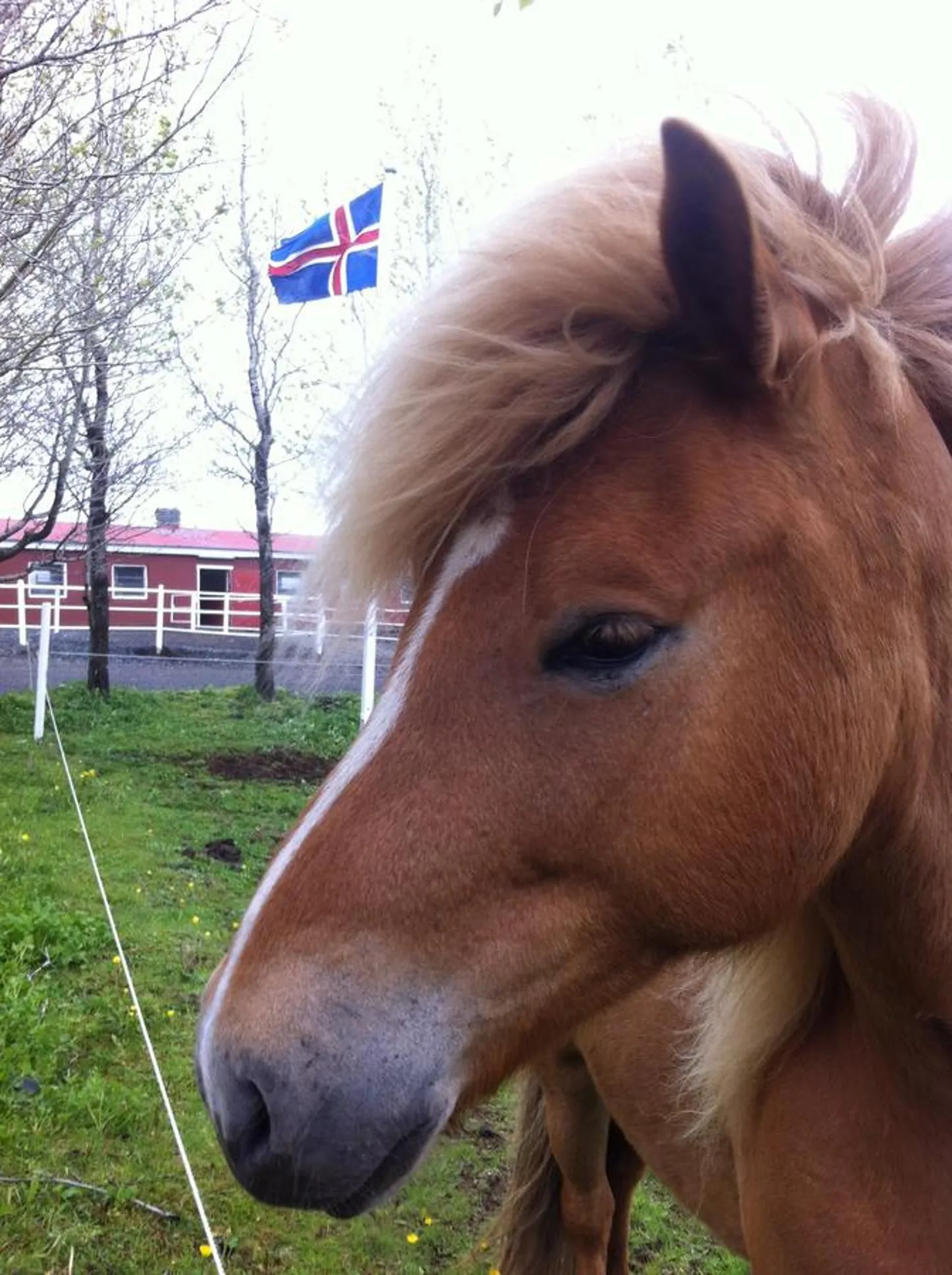 Day in Country Dream - Langholt 2